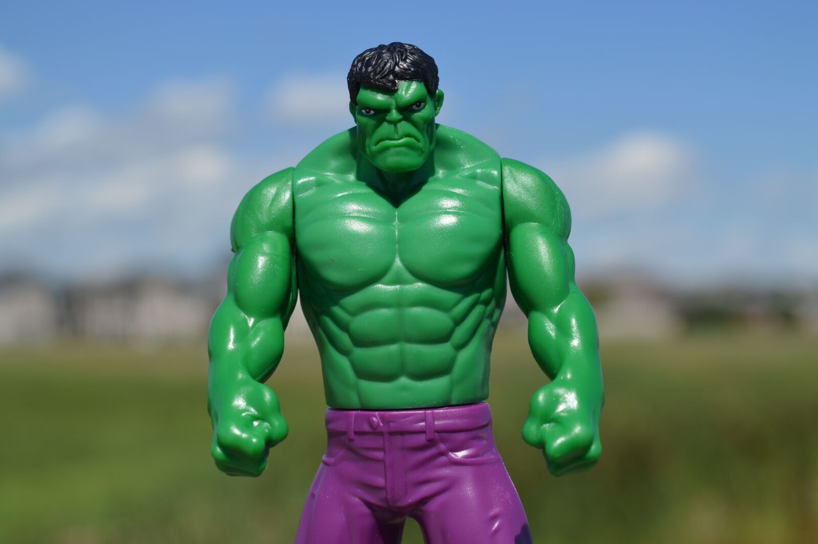 Nikon D3200 sample photo. Incredible hulk, superhero, green photography