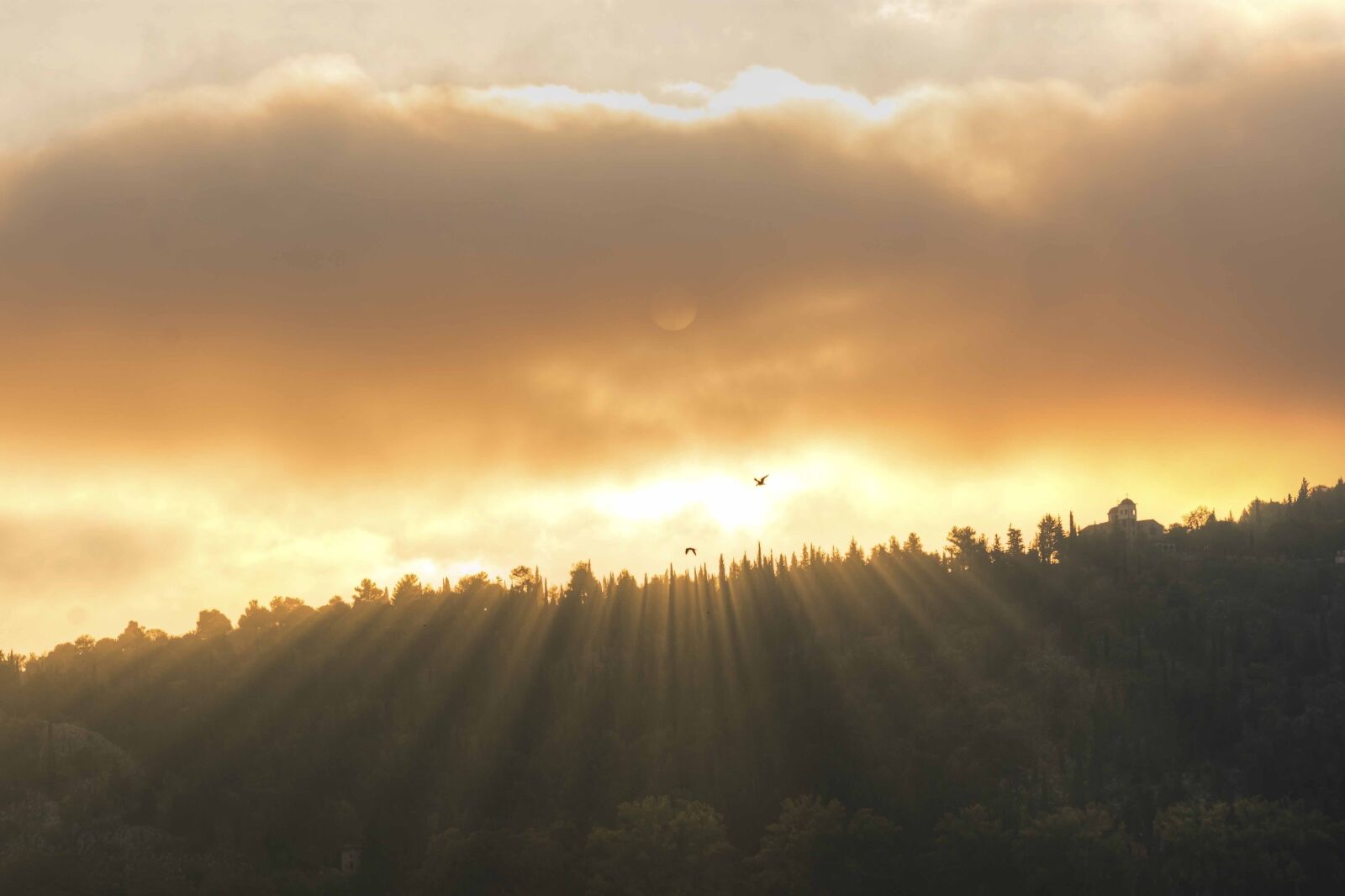 Nikon D7200 sample photo. Sunrays, mood, atmosphere photography
