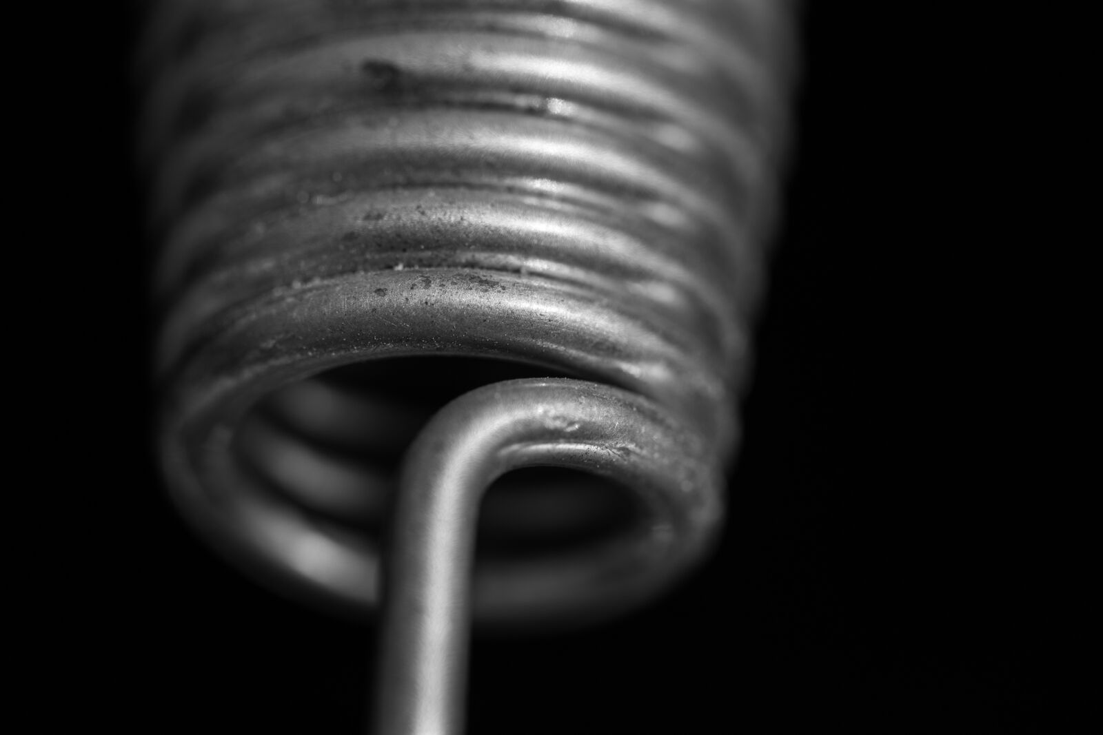 Canon EF 100mm F2.8L Macro IS USM sample photo. Feather, spring, primrose photography