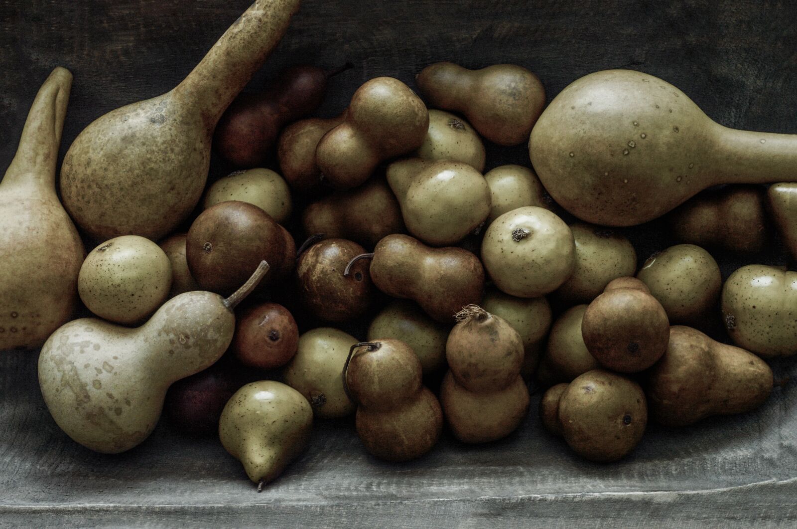 Nikon D3200 sample photo. Fall, autumn, gourds photography