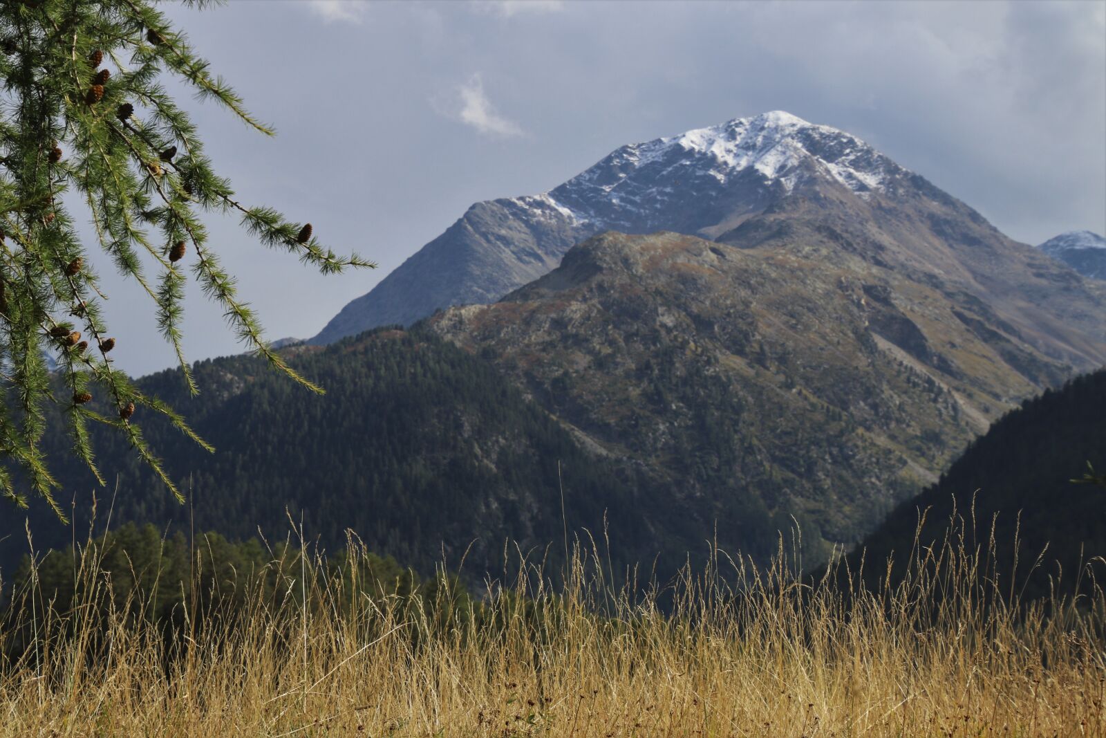 Canon EOS 80D sample photo. Tops, dry grass, mountains photography
