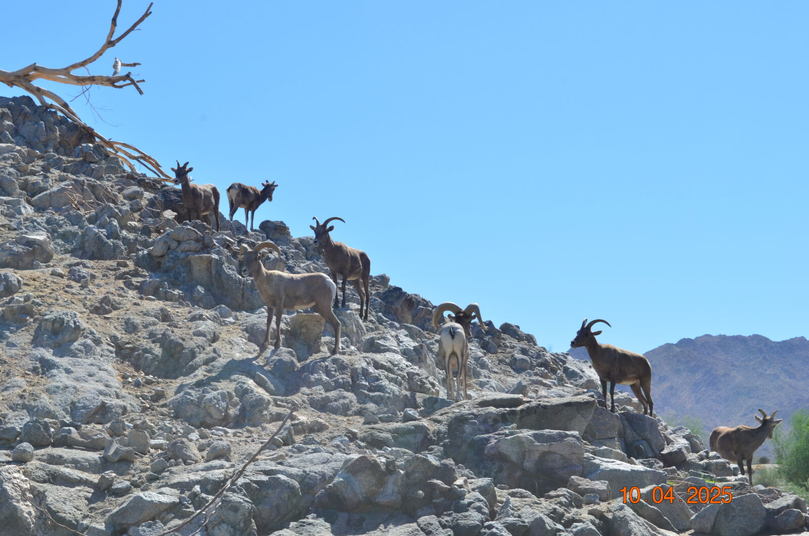 Nikon D5100 sample photo