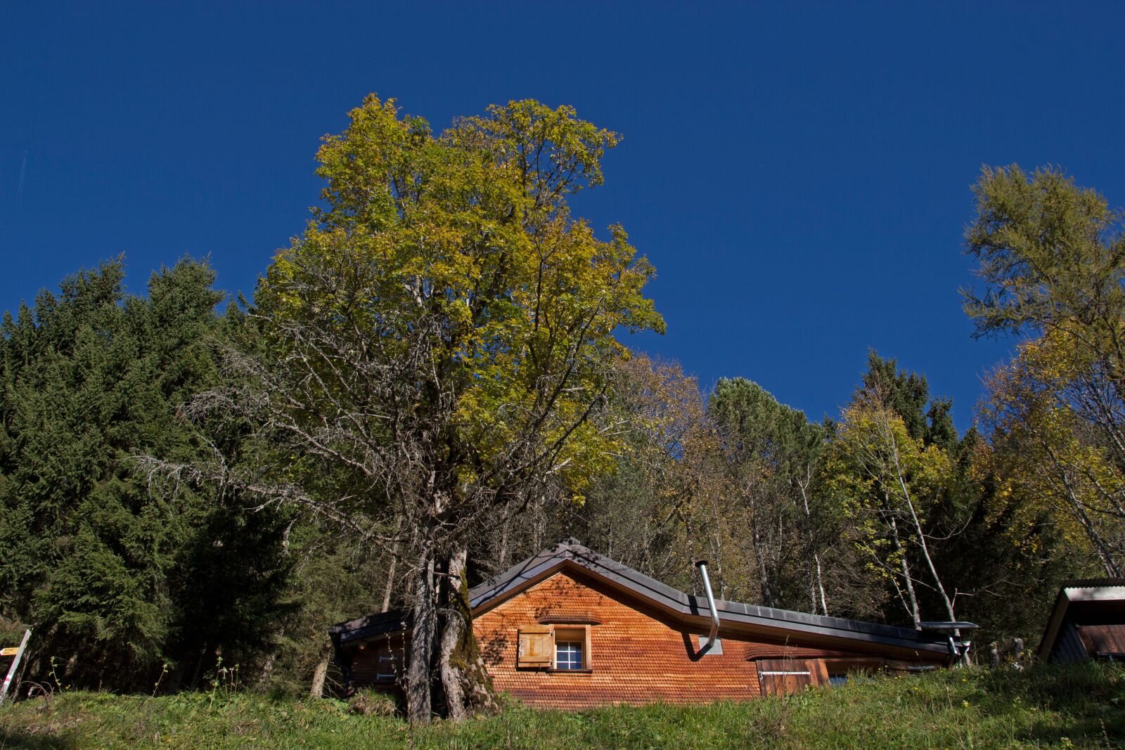 Canon EOS 700D (EOS Rebel T5i / EOS Kiss X7i) sample photo. Alpine hut, facade cladding photography