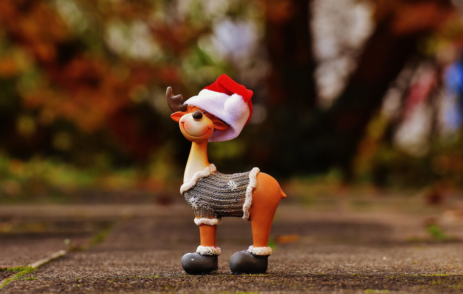 Nikon D7200 sample photo. Moose, christmas, christmas motif photography