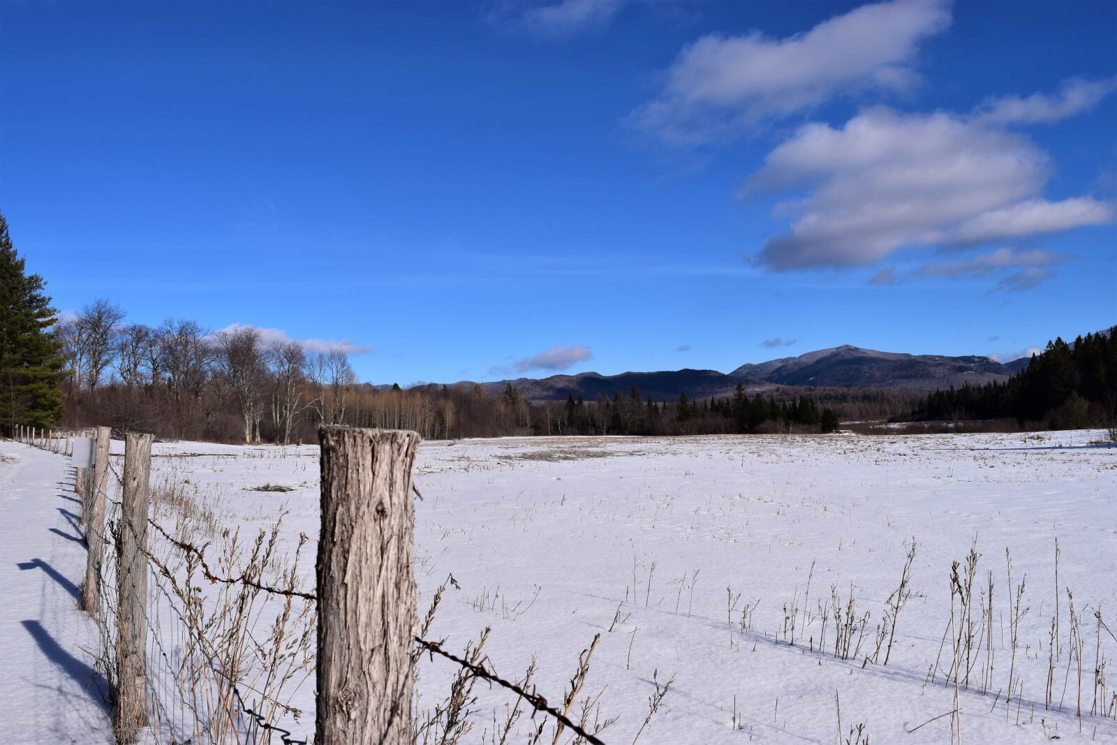 Nikon D3300 sample photo. Adirondacks, blue, sky, clouds photography