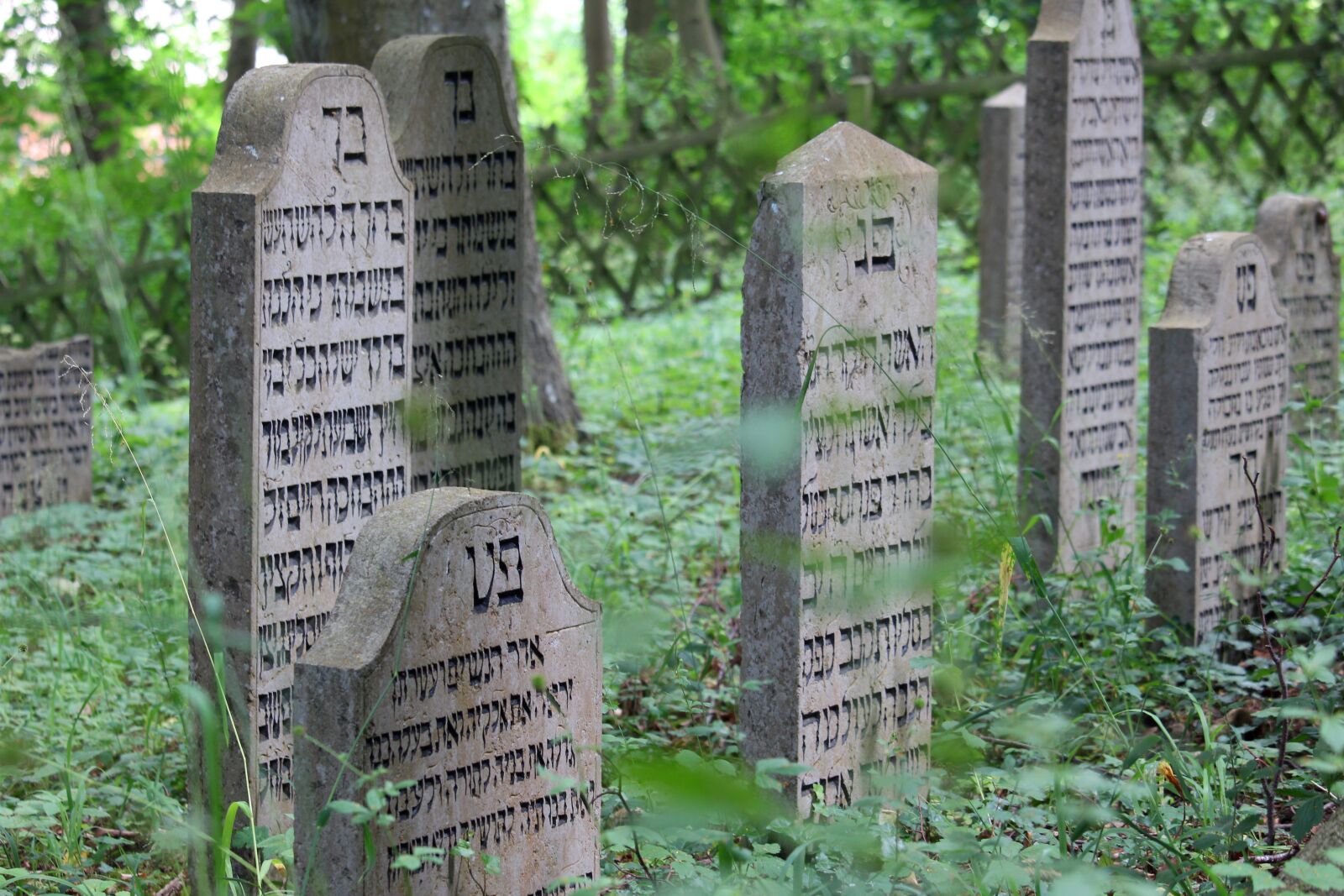 Canon EOS 700D (EOS Rebel T5i / EOS Kiss X7i) + Canon EF-S 55-250mm F4-5.6 IS STM sample photo. Jewish cemetery, tombstone, cemetery photography
