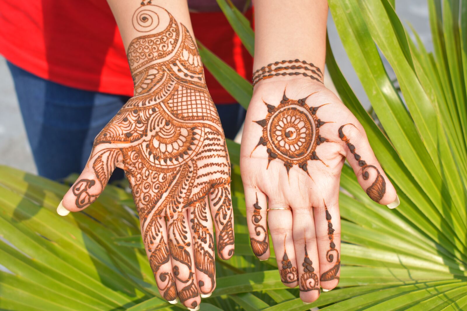 Nikon D5600 sample photo. Mehndi, decorative designs, henna photography