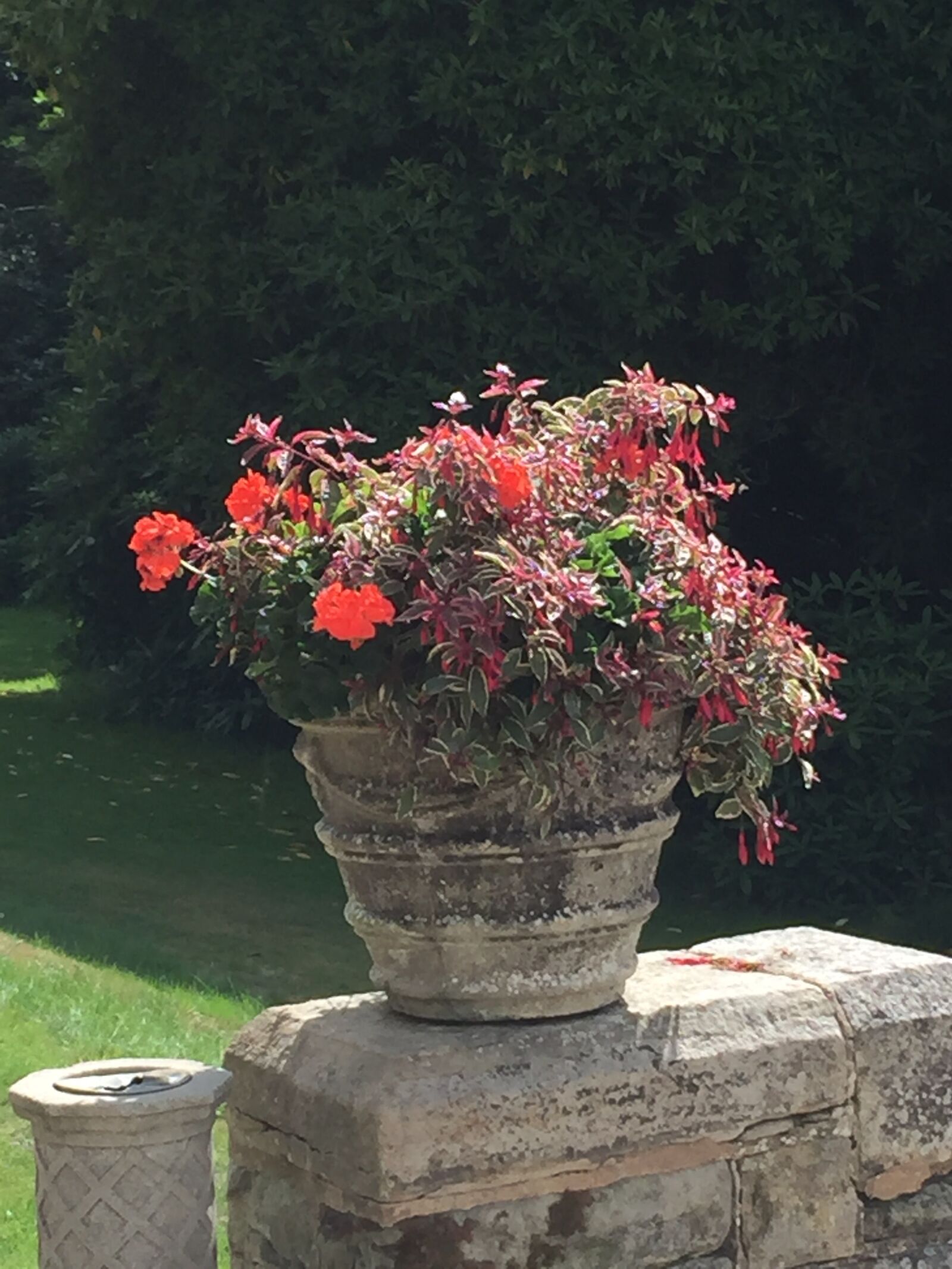 iPhone 6 Plus back camera 4.15mm f/2.2 sample photo. Flowers, flower basket, basket photography
