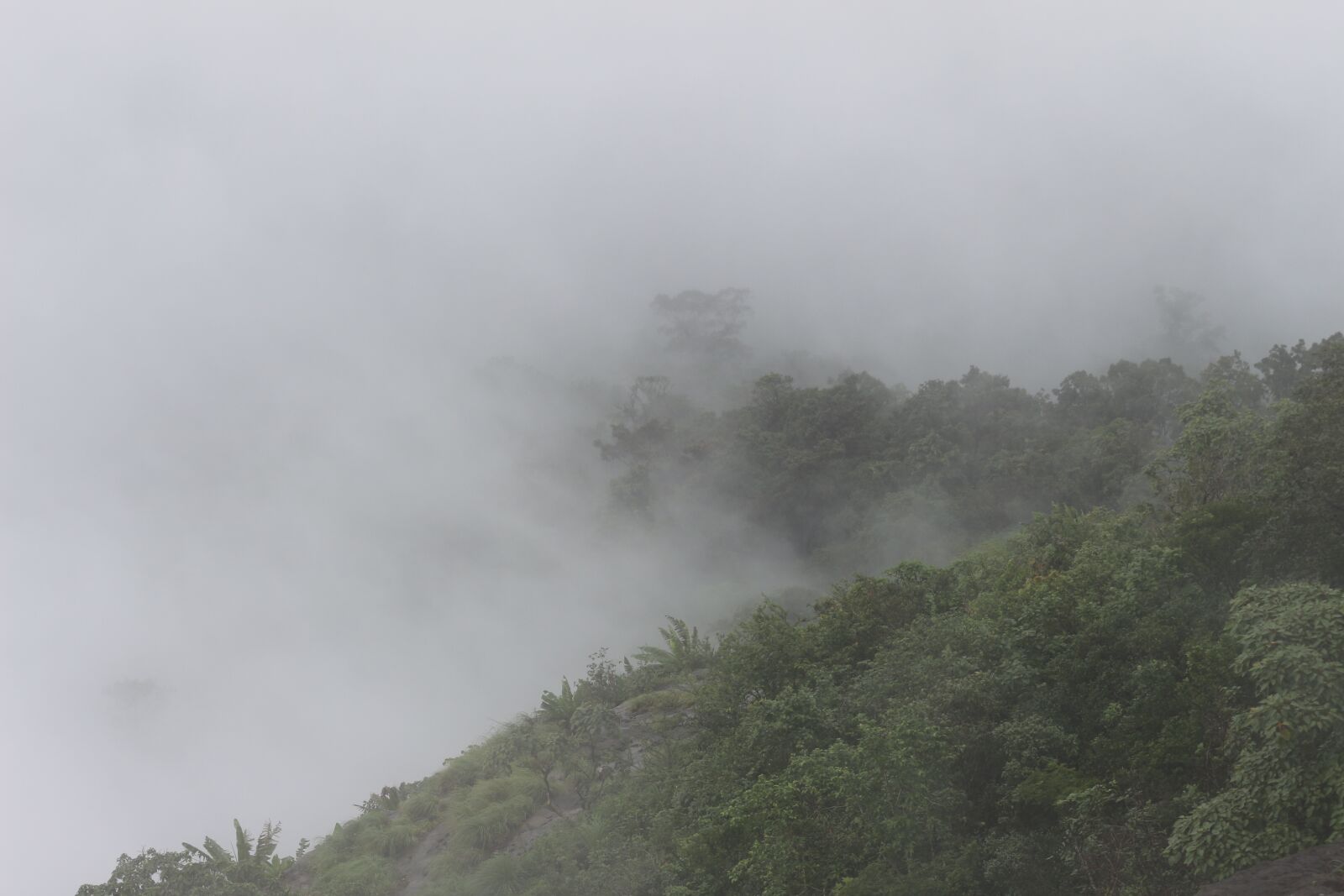 Canon EOS 700D (EOS Rebel T5i / EOS Kiss X7i) sample photo. Mist, morning, scenery photography