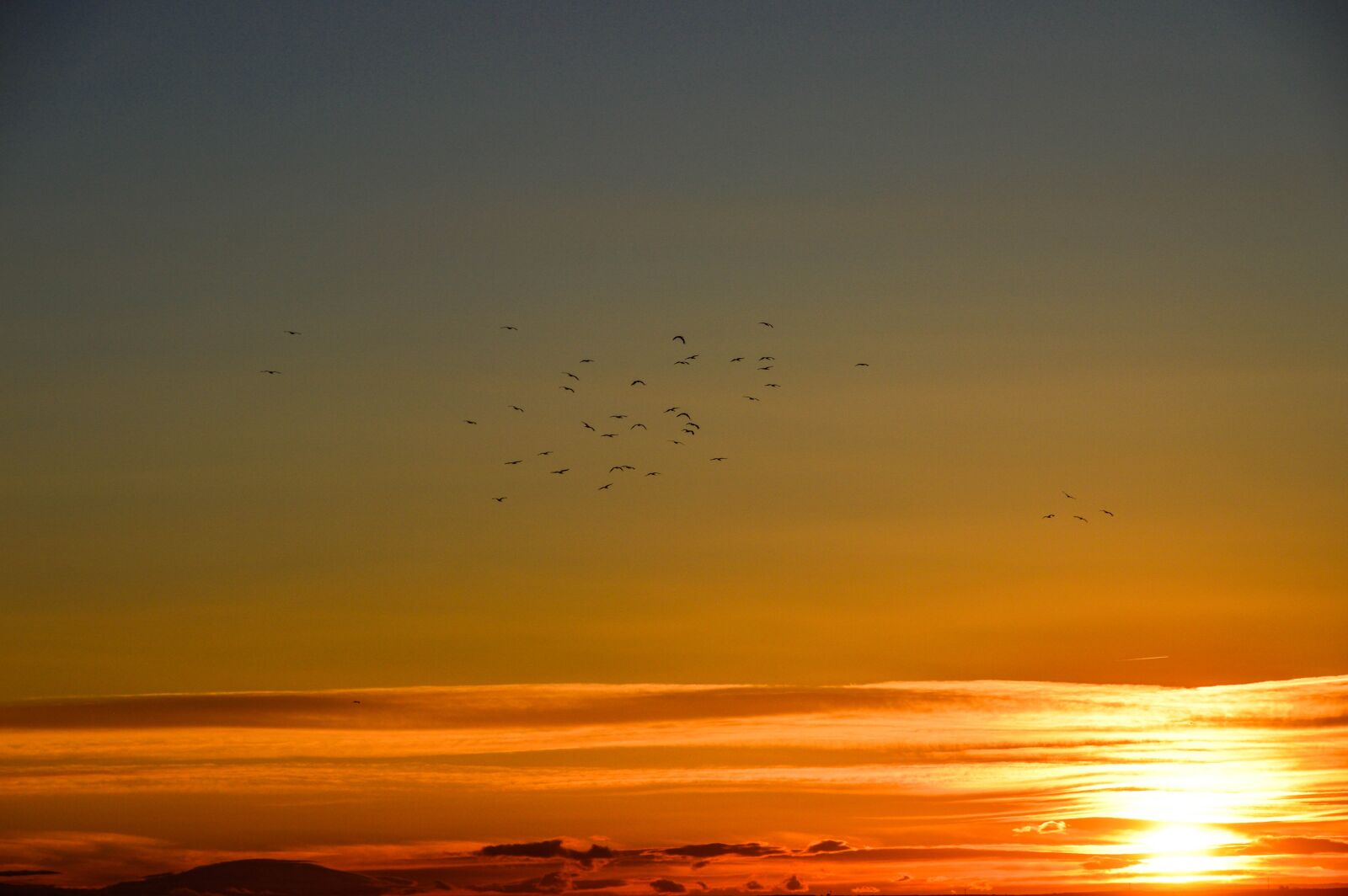 Nikon D3200 sample photo. Sunset, birds in orizonte photography