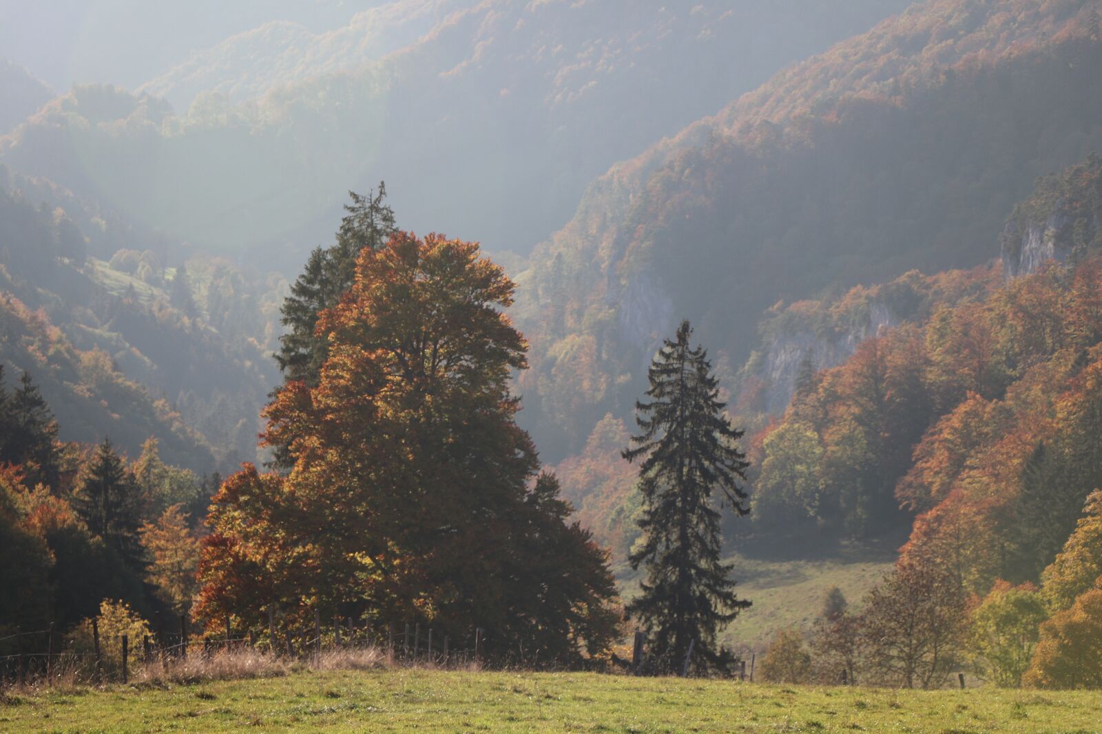 Canon EF-S 18-135mm F3.5-5.6 IS USM sample photo. Autumn, autumn landscape, nature photography