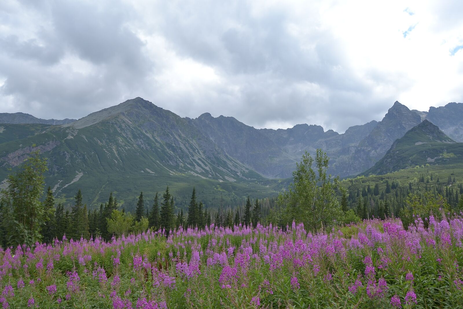 Nikon D3100 sample photo. Buried, mountains, hala g photography