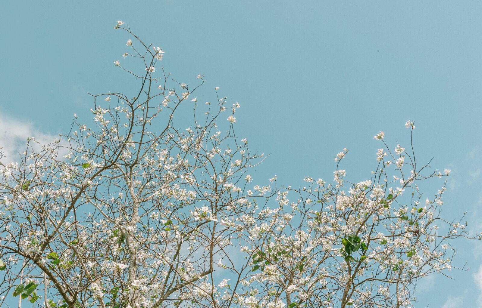 Nikon D700 sample photo. Landscape, travel, cute photography