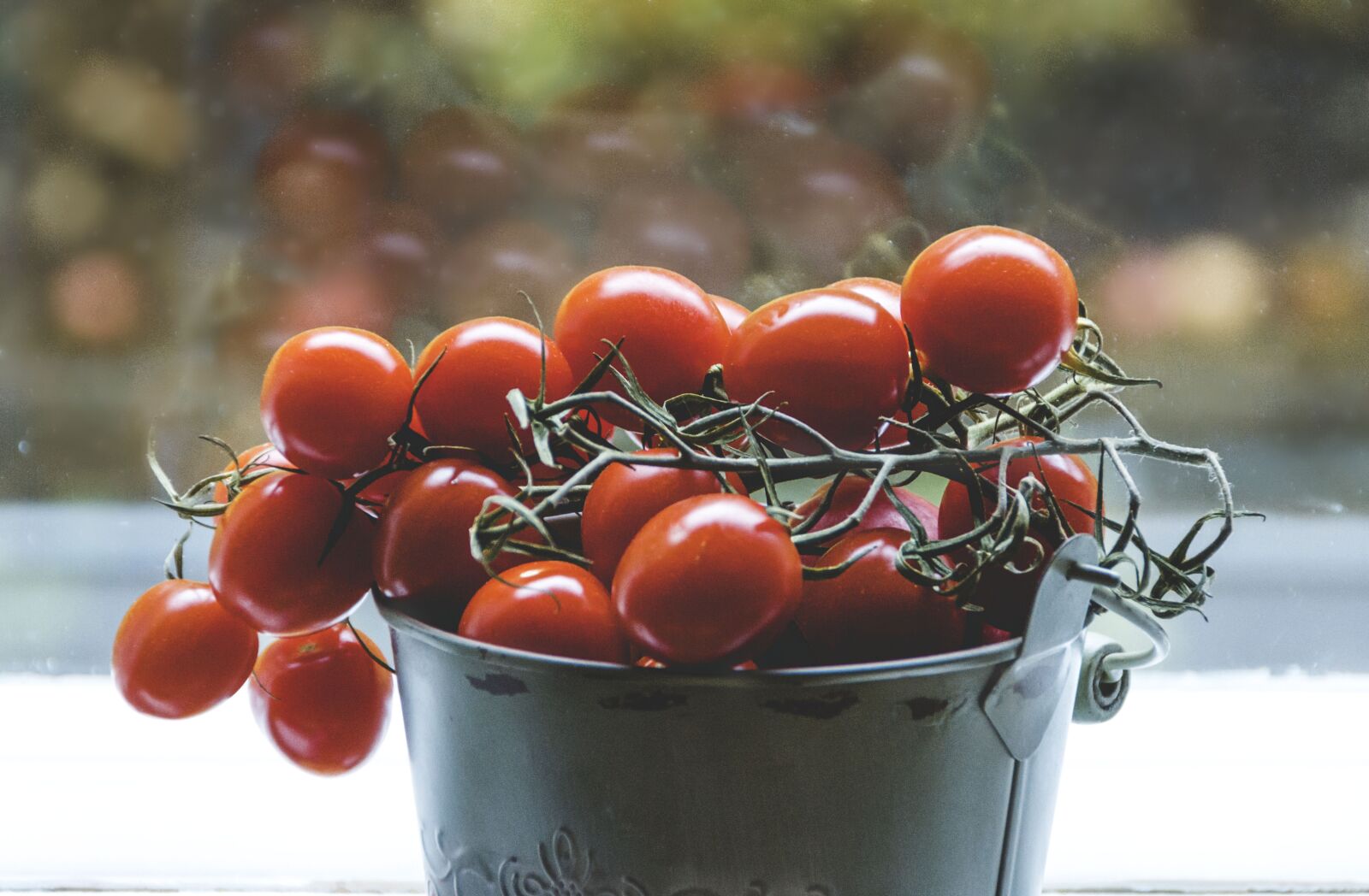 Canon EOS 7D sample photo. Tomatoes, tomato, food photography