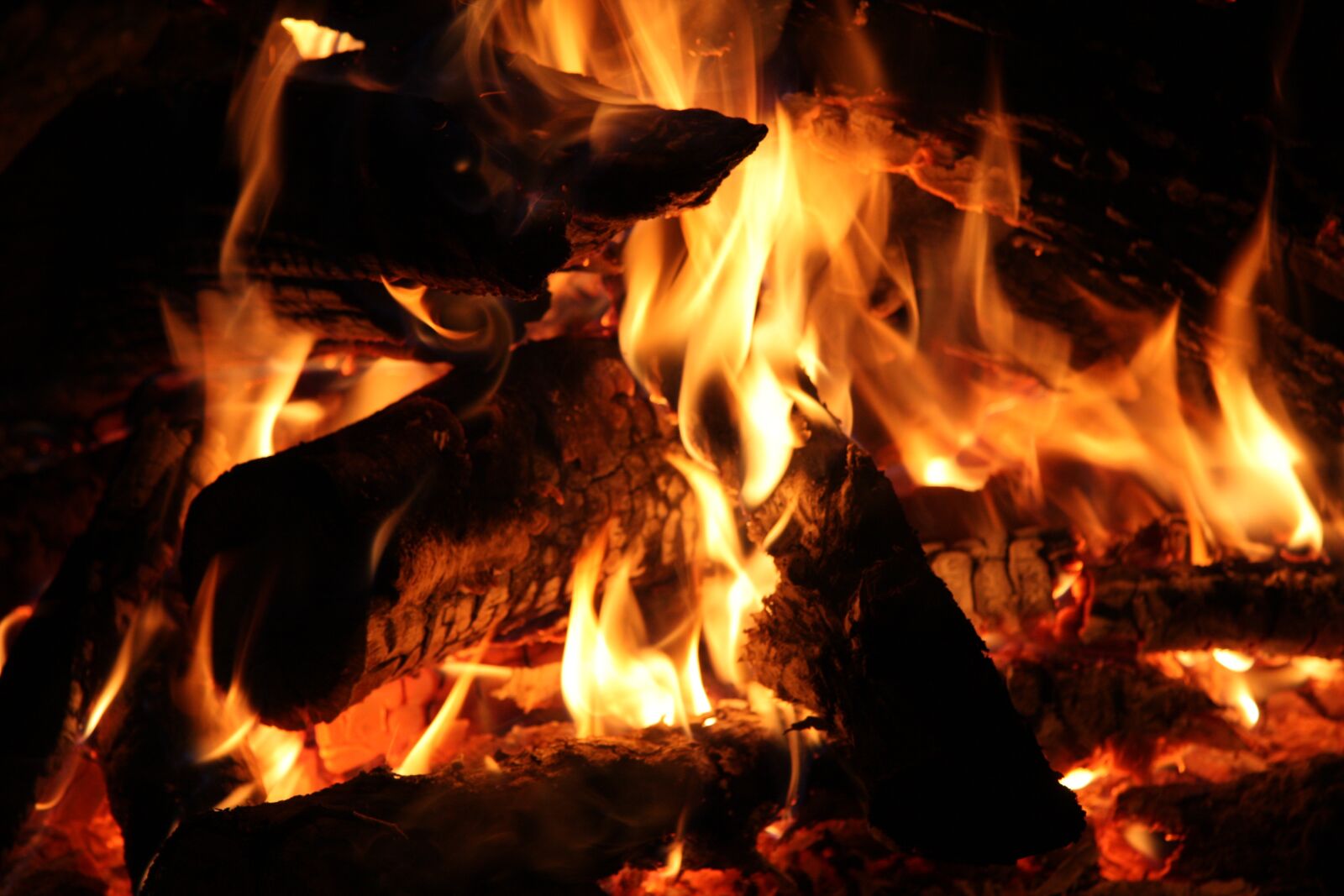 Canon EOS 40D sample photo. Fire, flame, burn photography