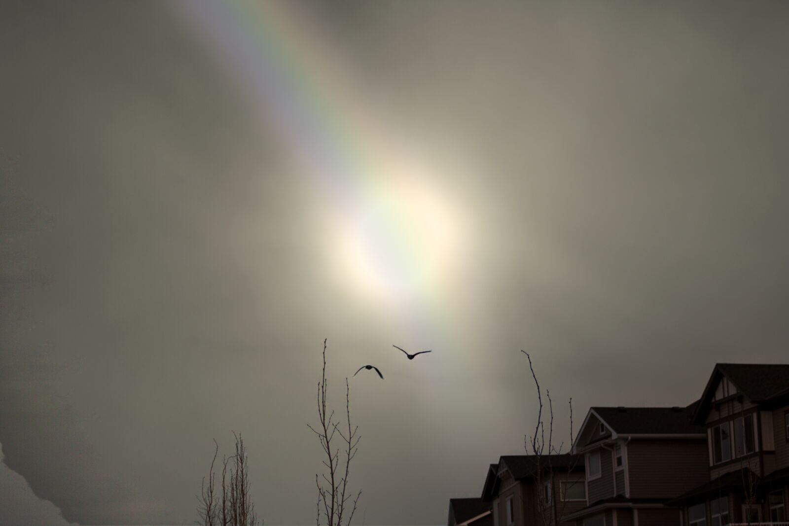 Canon EOS 2000D (EOS Rebel T7 / EOS Kiss X90 / EOS 1500D) sample photo. Sky, birds, sunset photography