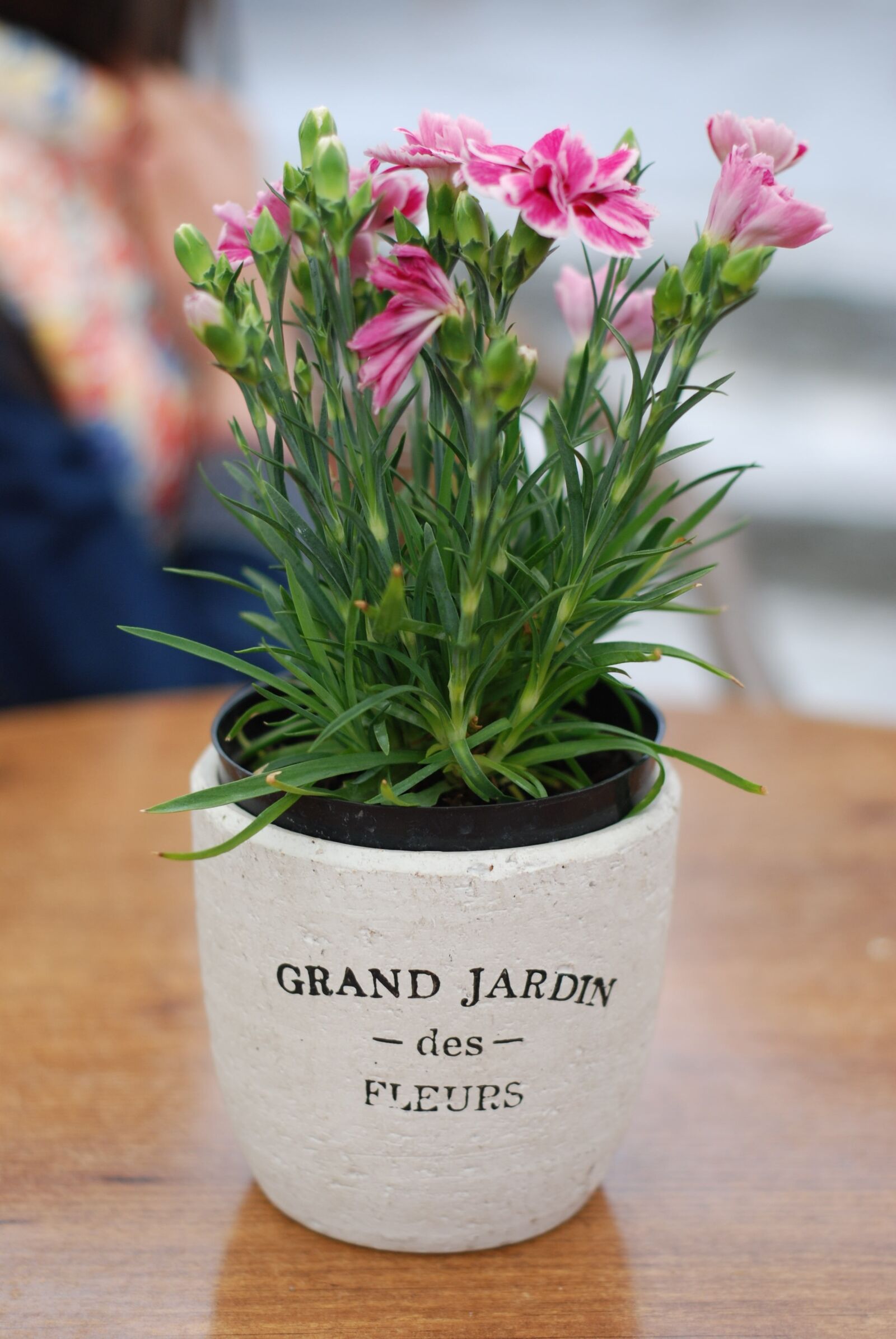 Nikon D80 sample photo. Flower pot, flowers, france photography