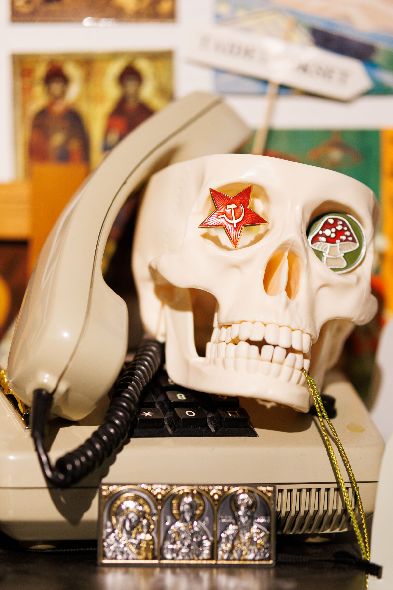 Sigma 56mm F1.4 DC DN | C sample photo. Skull phone photography