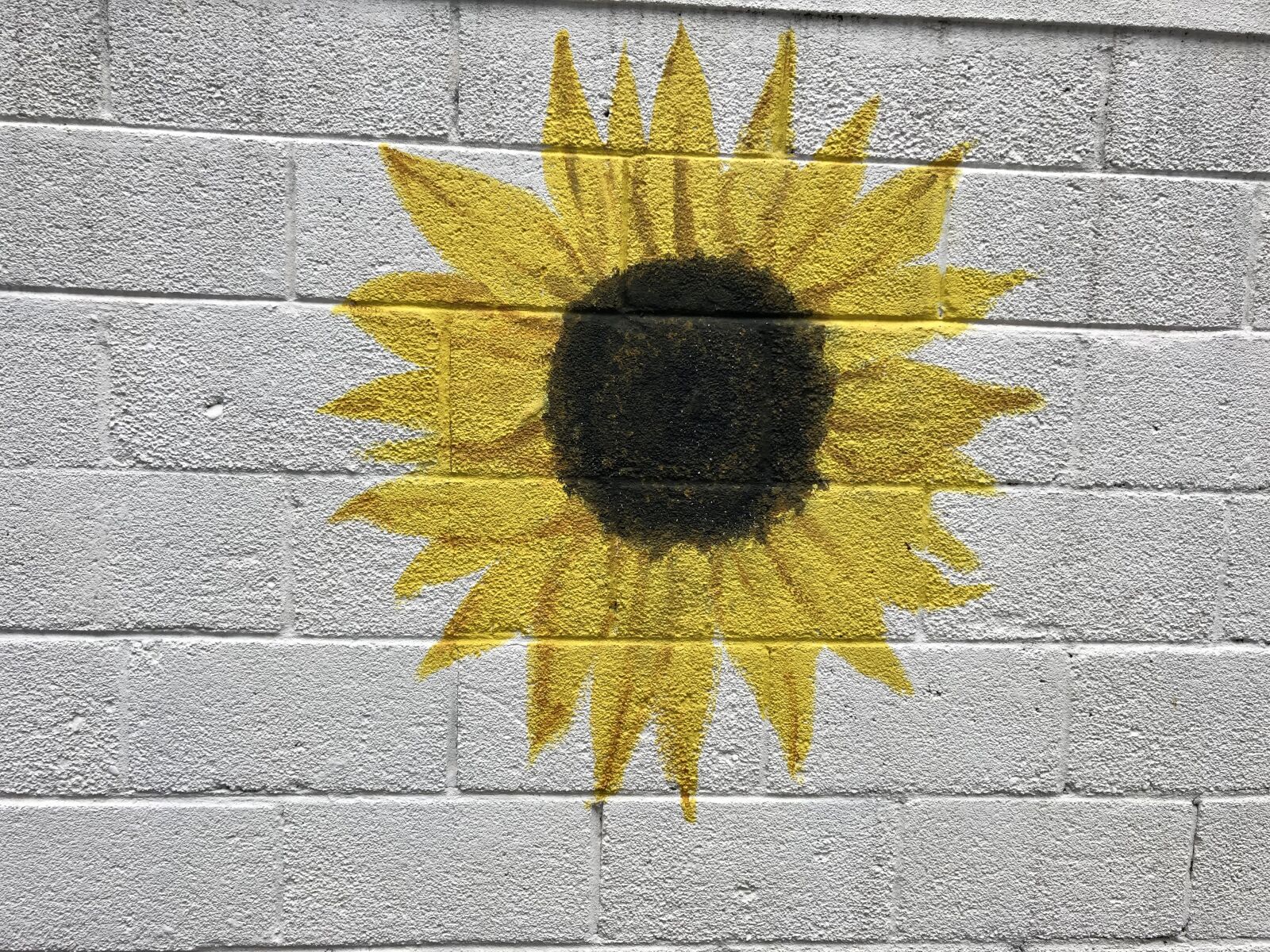 iPhone X back dual camera 4mm f/1.8 sample photo. Paint a mural, sunflower photography