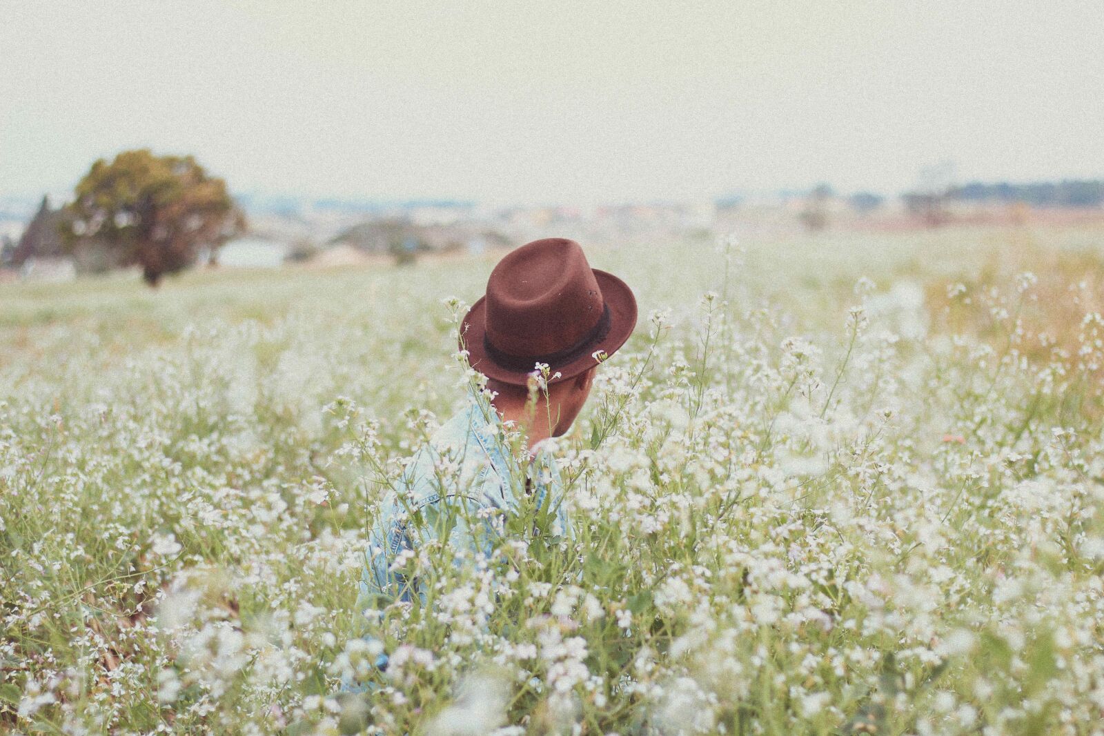Canon EOS 60D + Canon EF 50mm F1.8 STM sample photo. Flowers, field, man photography