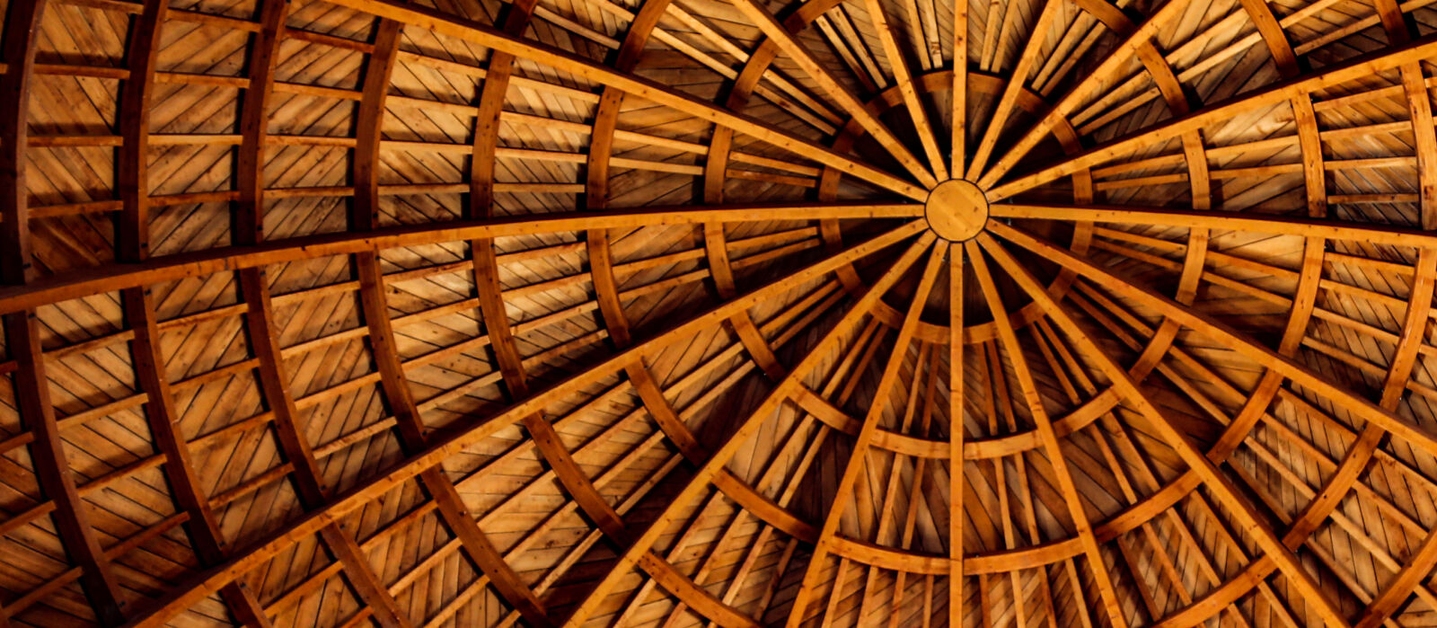 Canon EOS 5D Mark III sample photo. Color, texture, wood photography