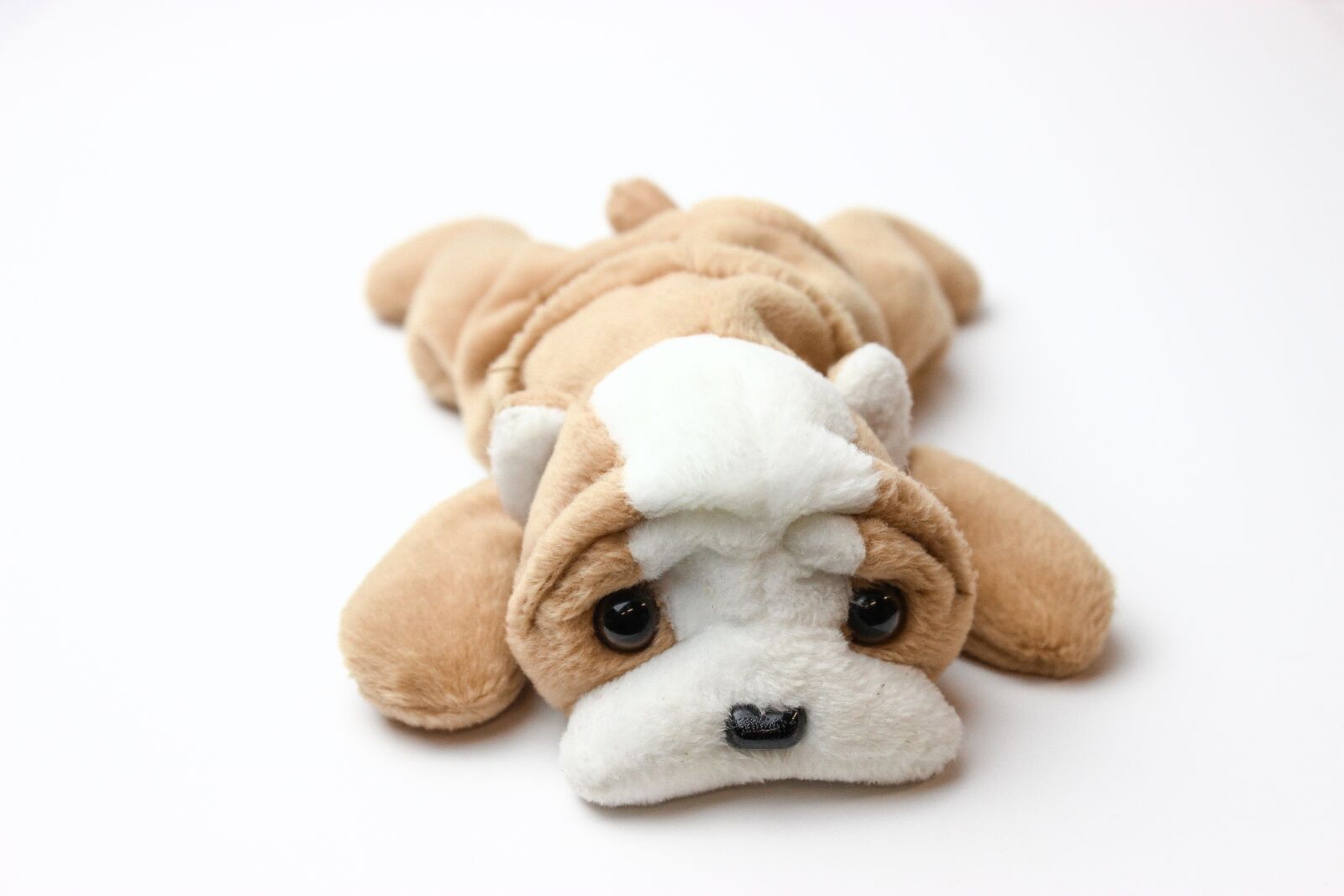 Canon EOS 600D (Rebel EOS T3i / EOS Kiss X5) sample photo. Beanie baby, plush, toy photography