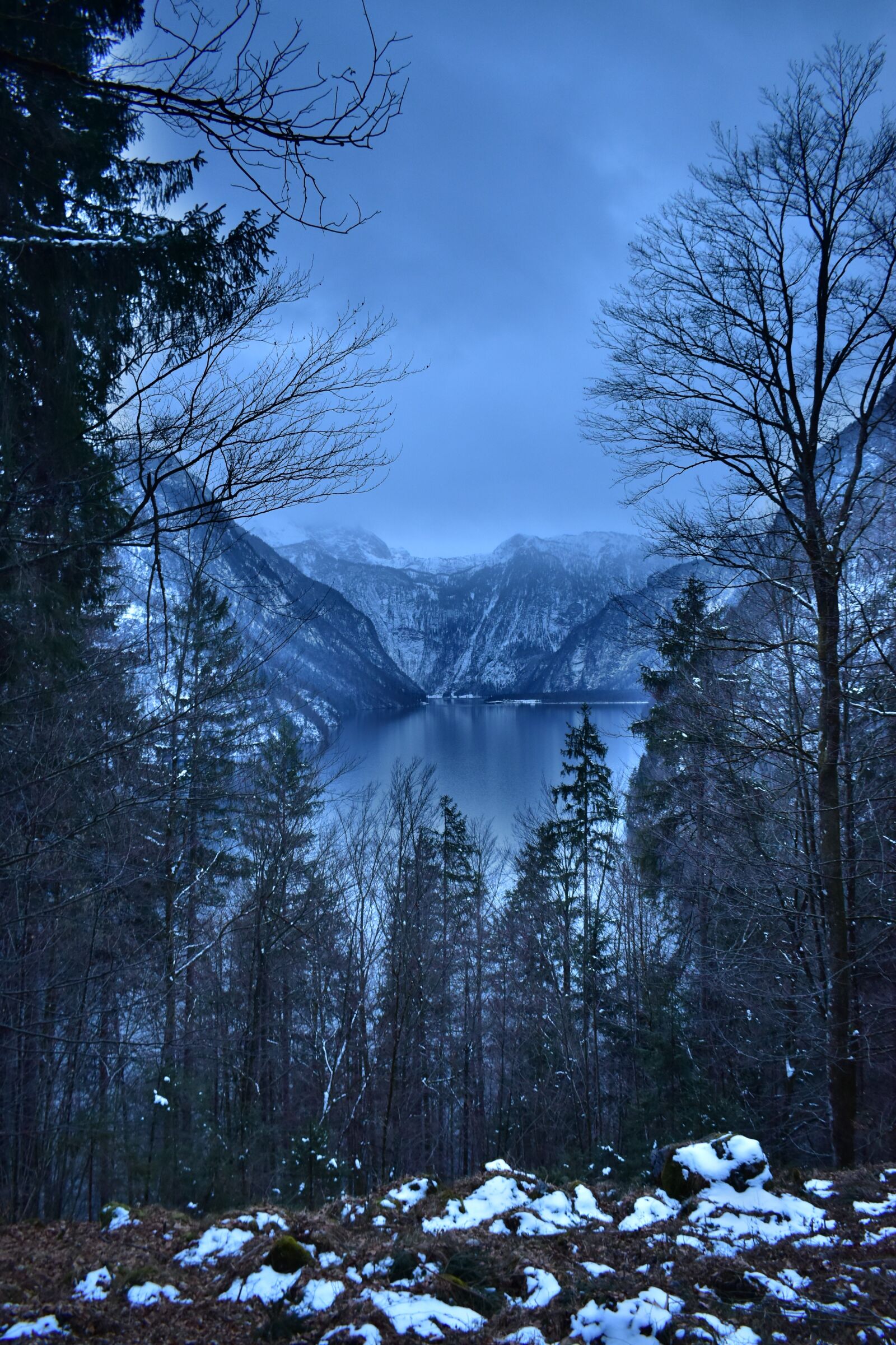 Nikon D5600 sample photo. Nature, snow, wood photography