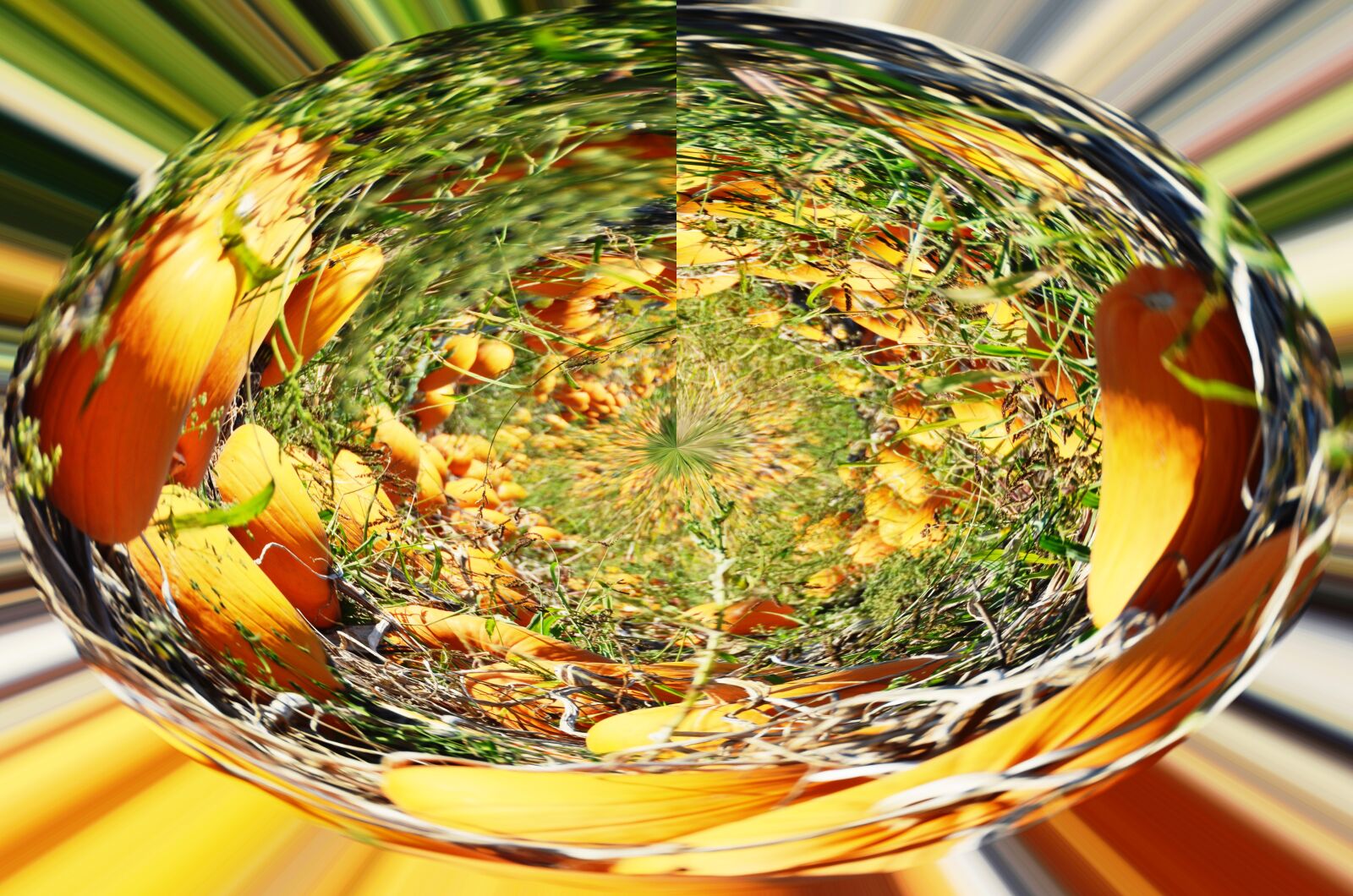 Nikon D5100 sample photo. Pumpkins, pumpkin box, food photography