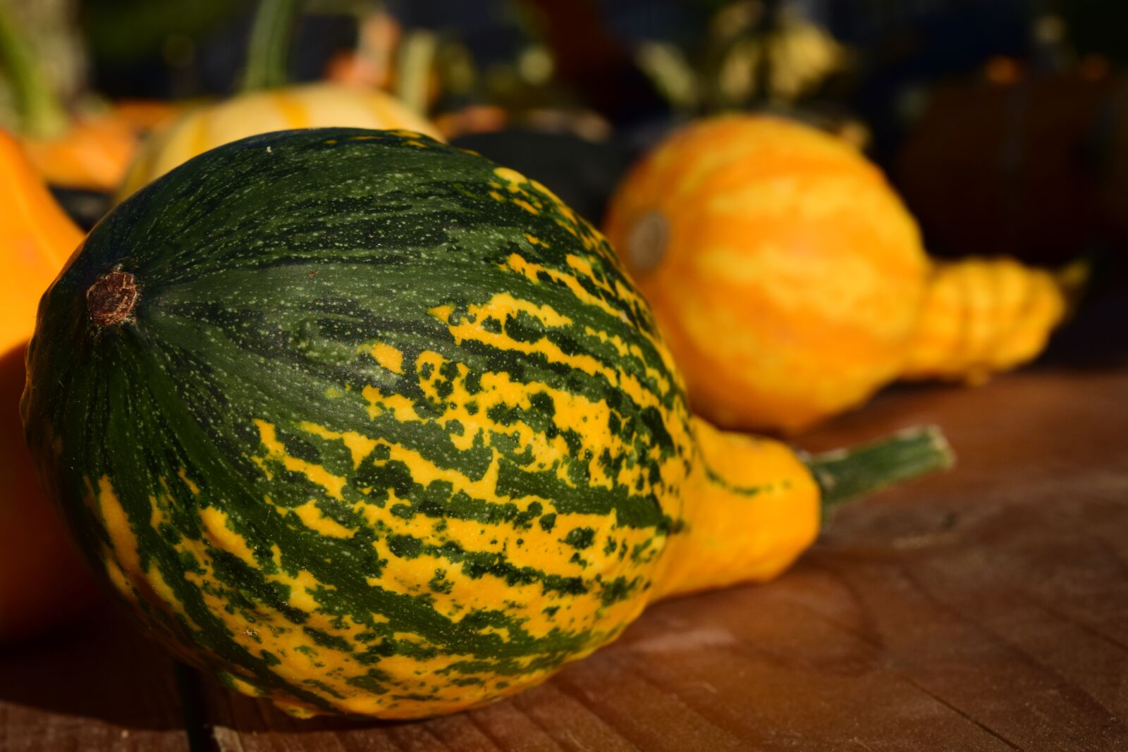Nikon D3300 sample photo. Decorative squashes, pumpkins, yellow photography