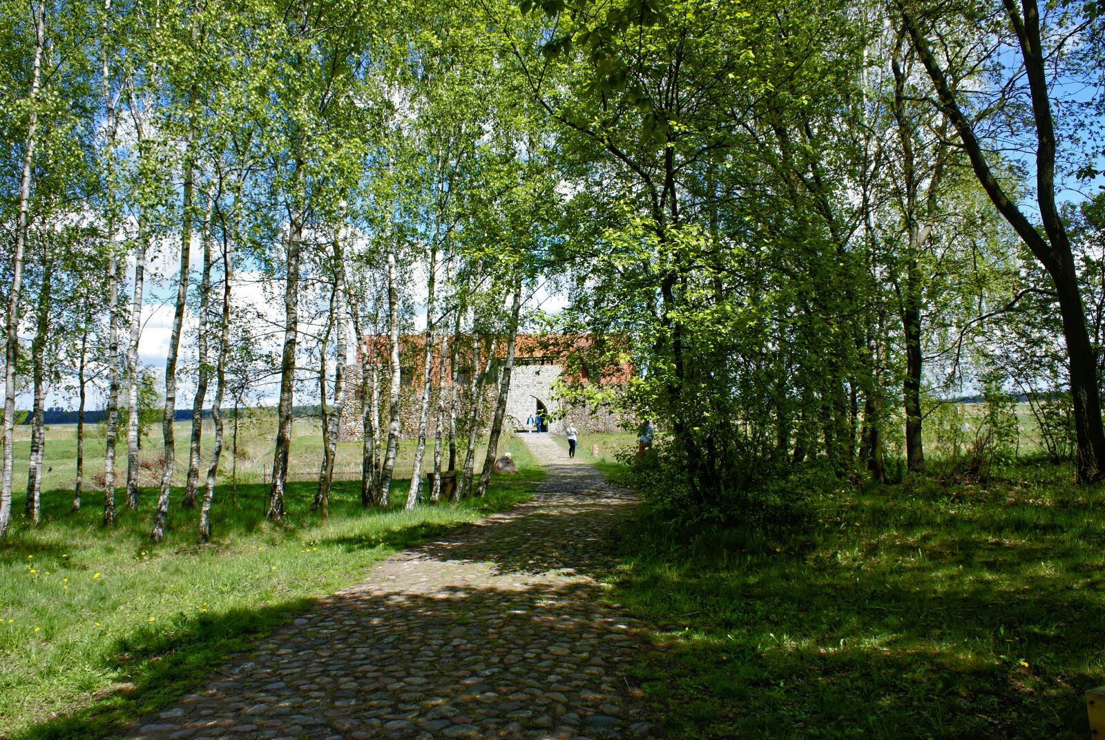Sony Alpha DSLR-A100 sample photo. Picnic, green, way photography