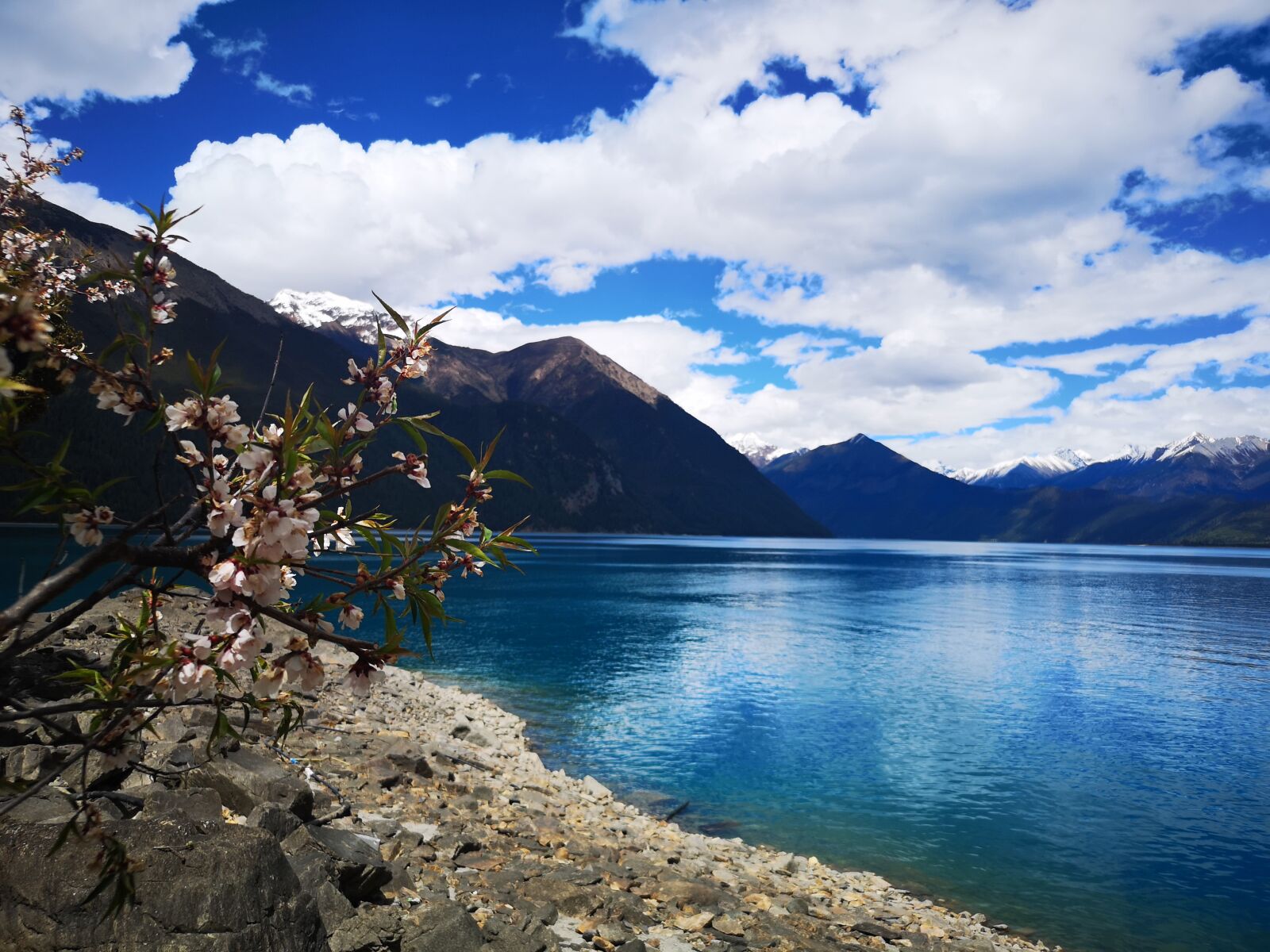 HUAWEI P20 Pro sample photo. Tibet, nyingchi, peach blossom photography