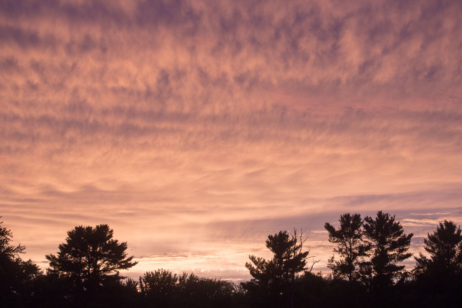 Canon EOS 1200D (EOS Rebel T5 / EOS Kiss X70 / EOS Hi) sample photo. Sunset, pink, yellow photography