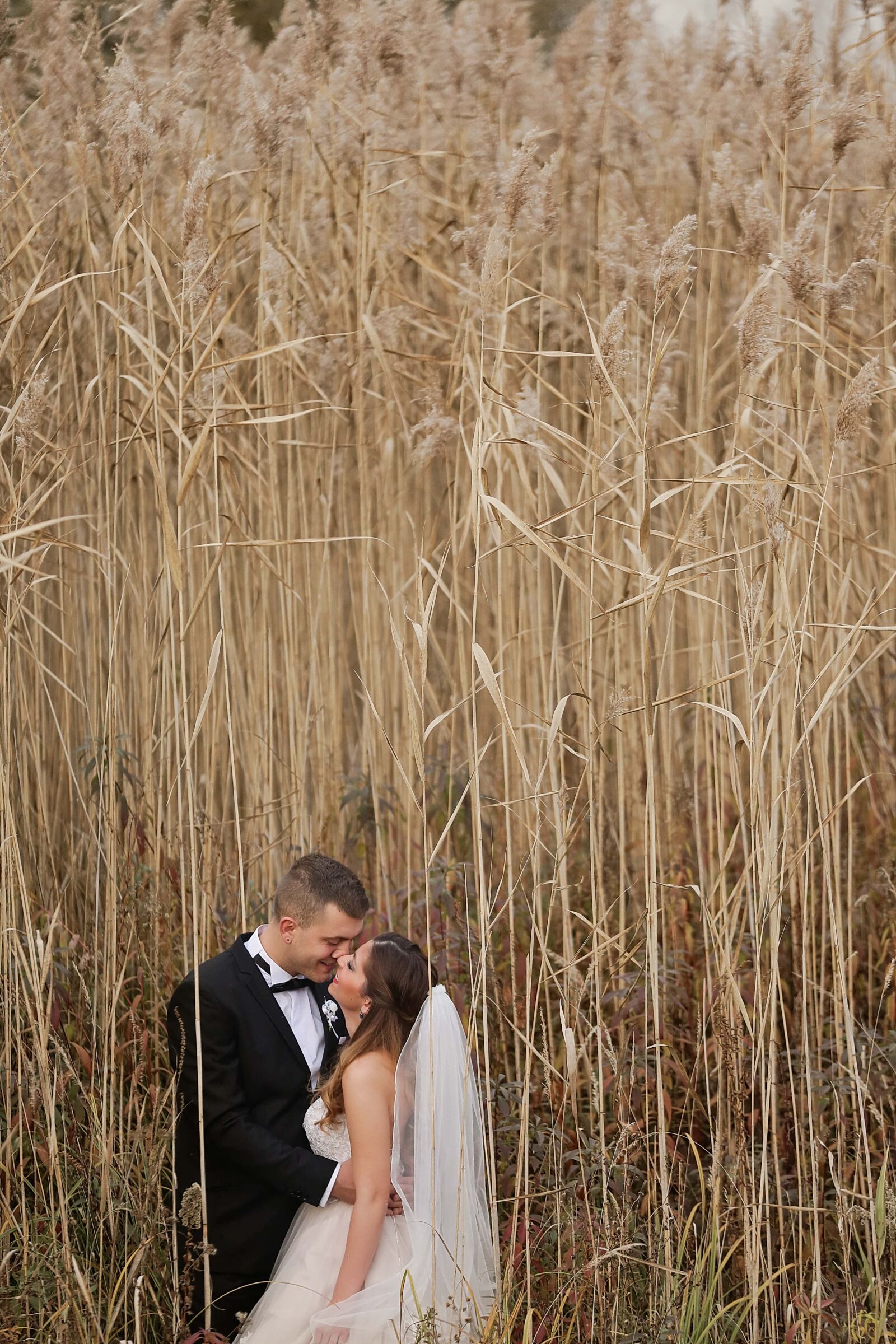 Canon EF 70-200mm F2.8L IS II USM sample photo. Wedding, photography, bride, groom photography