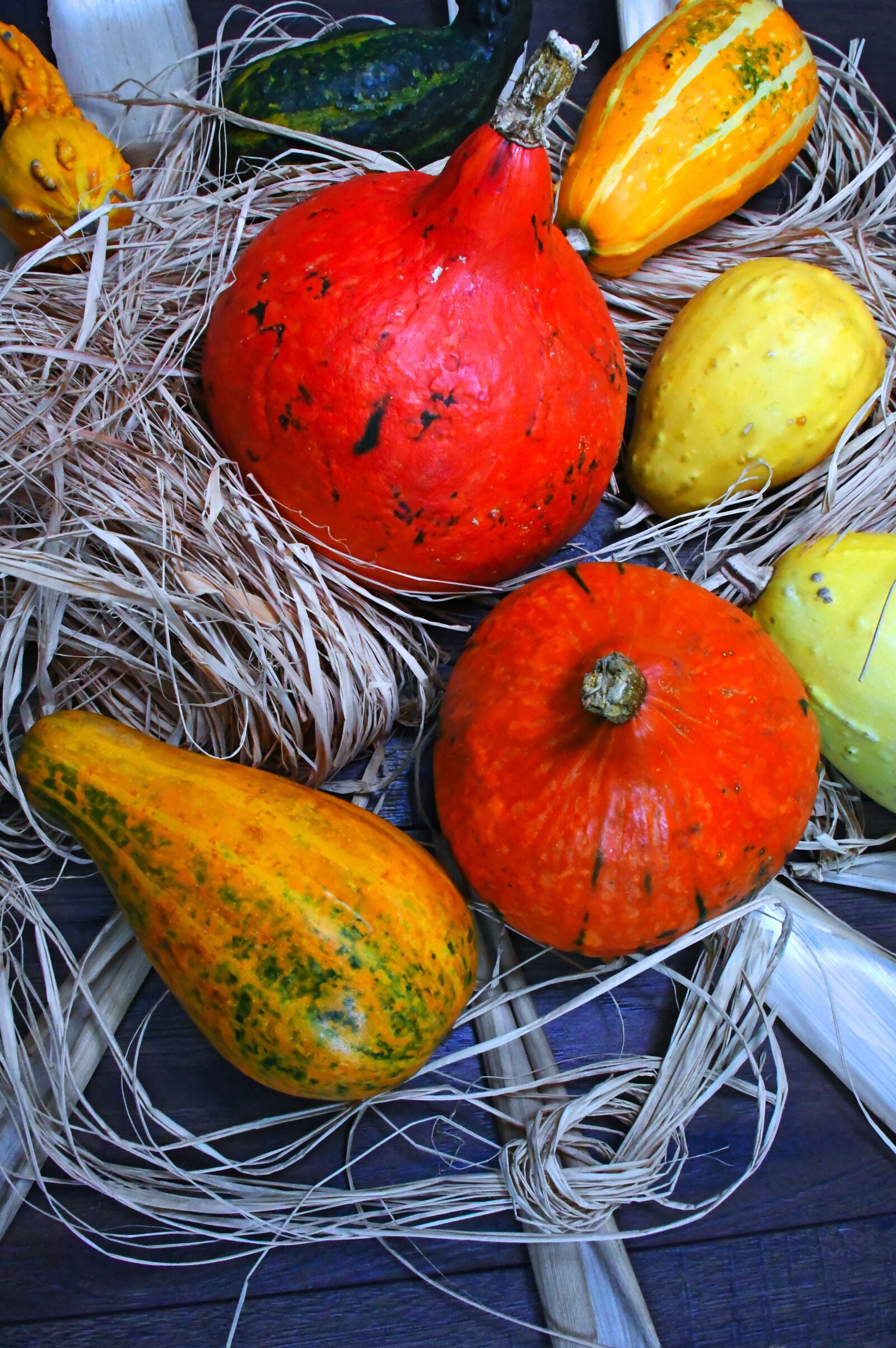 Nikon D3200 sample photo. Decorative pumpkins, orange, october photography