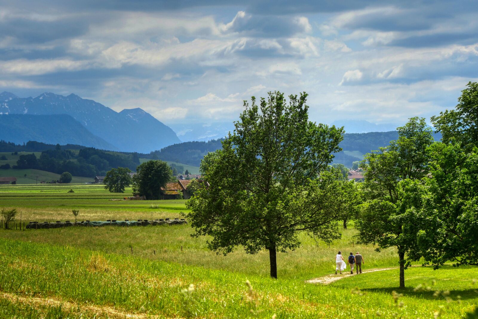 Panasonic Lumix DMC-GX8 sample photo. Foothills of the, bavaria photography