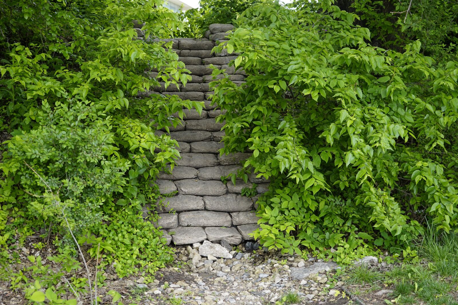Sony a7 sample photo. Stairs, rock, leaves photography
