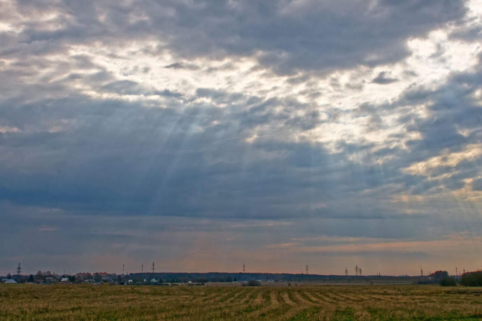 Canon EOS 500D (EOS Rebel T1i / EOS Kiss X3) sample photo. Field, landscape, grass photography