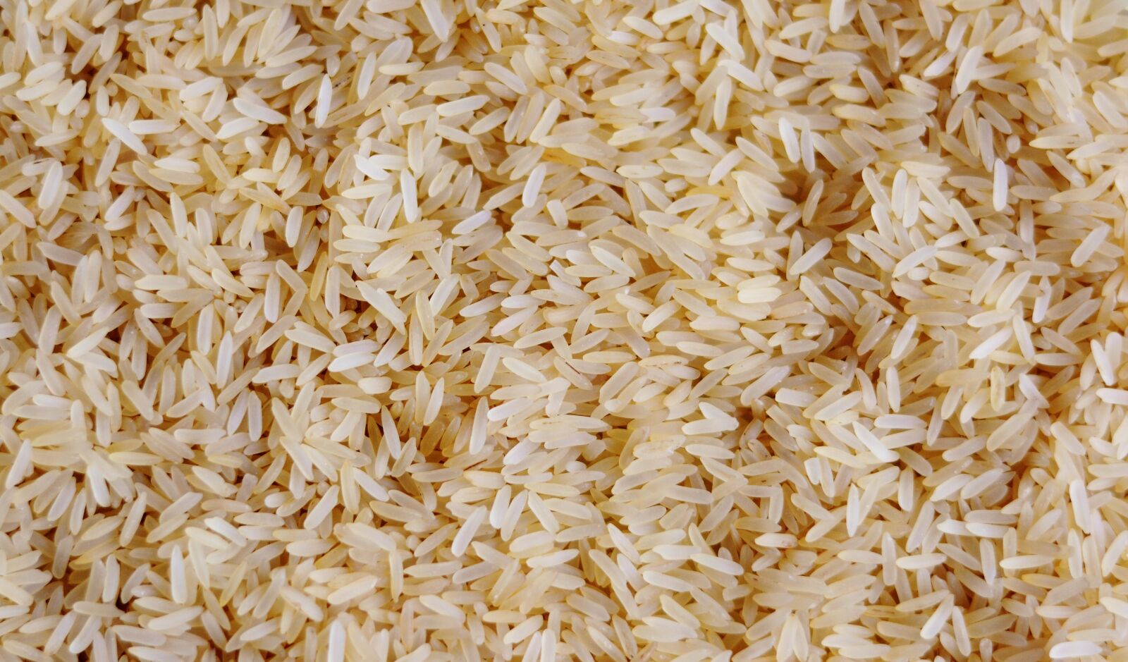 Nikon D5200 sample photo. Rice, rice grains, food photography