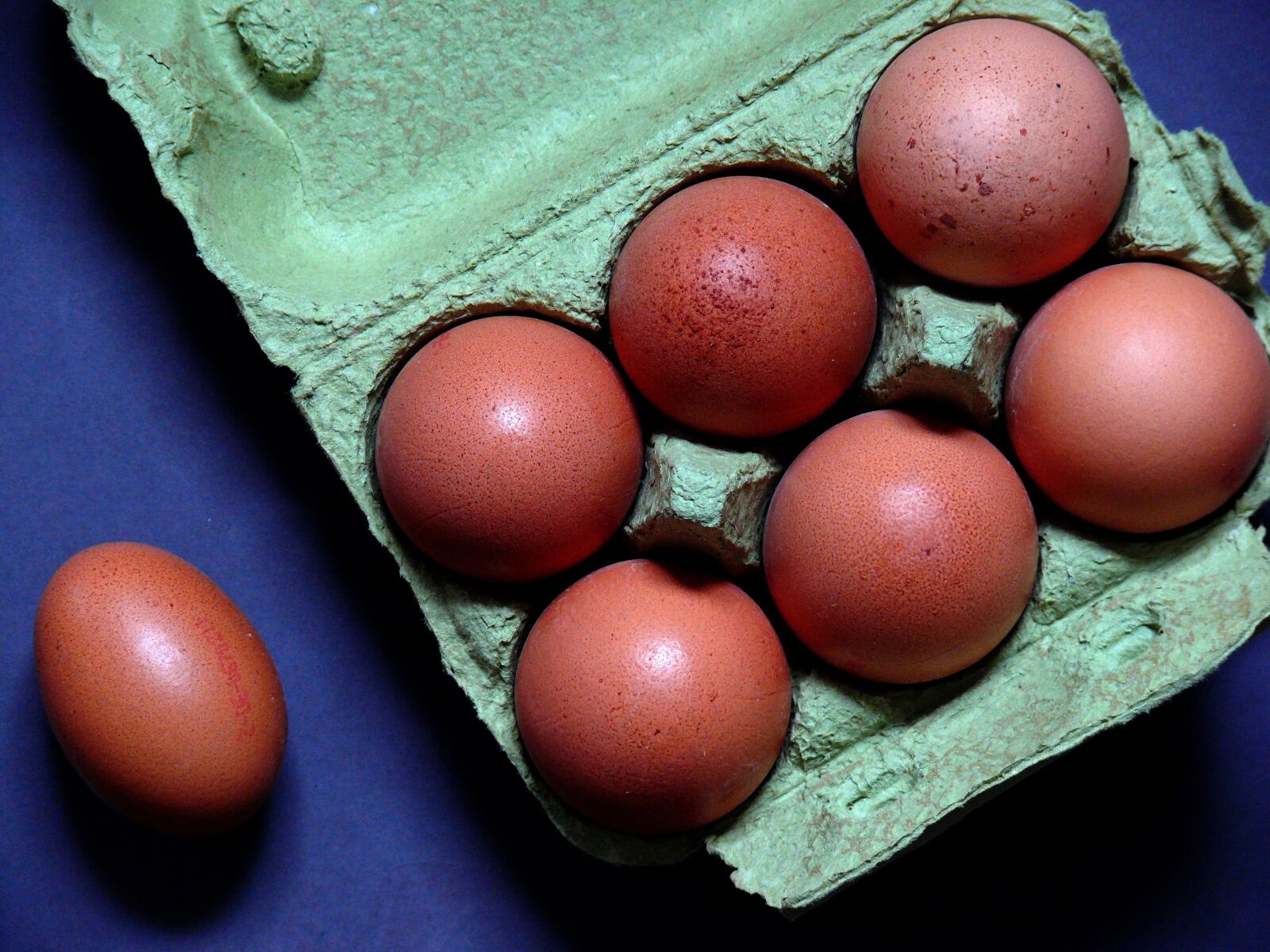 Leica V-LUX 1 sample photo. Egg, egg carton, chicken photography