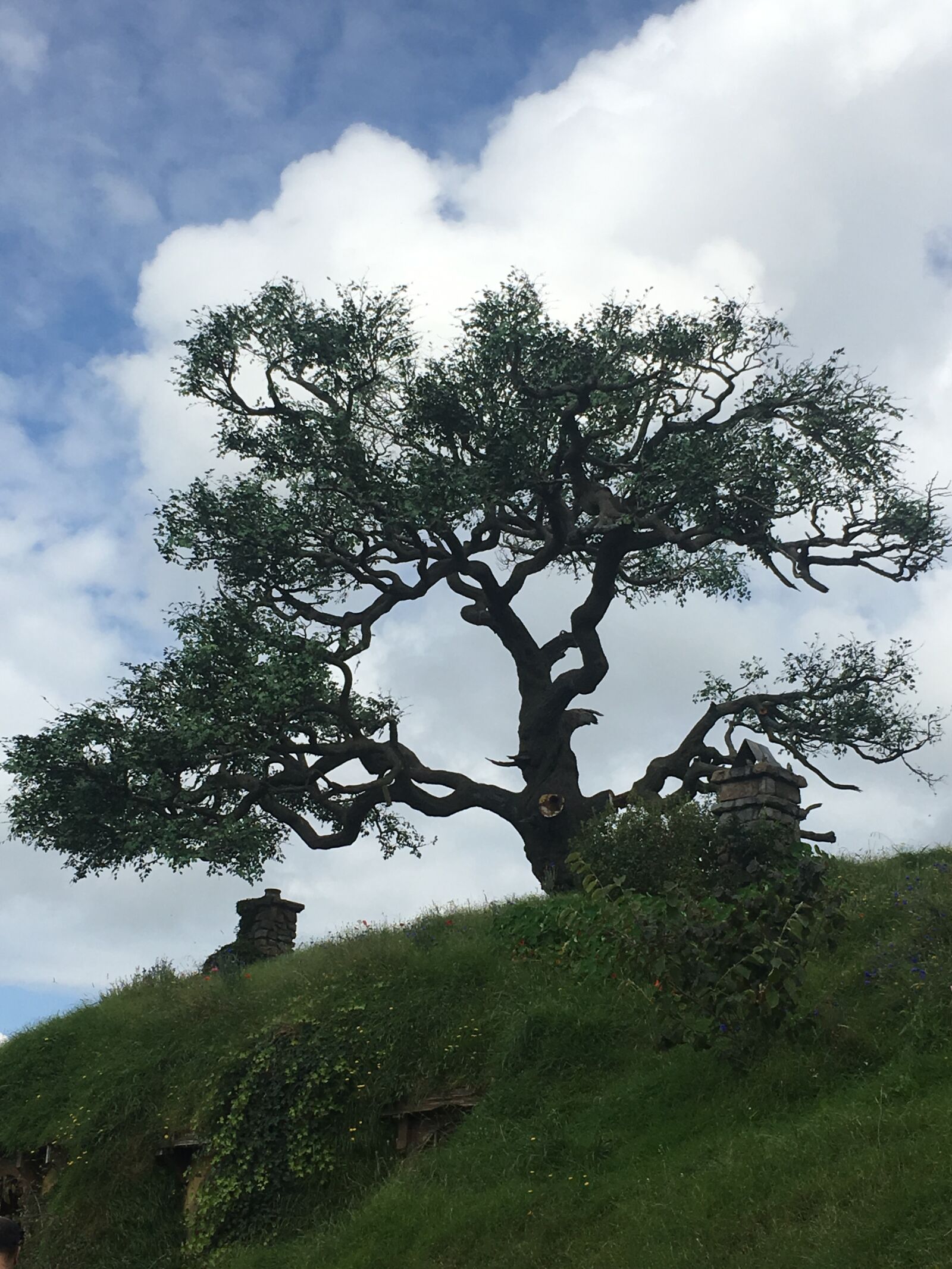 Apple iPhone 6s sample photo. Hobbiton, new zealand, lord photography