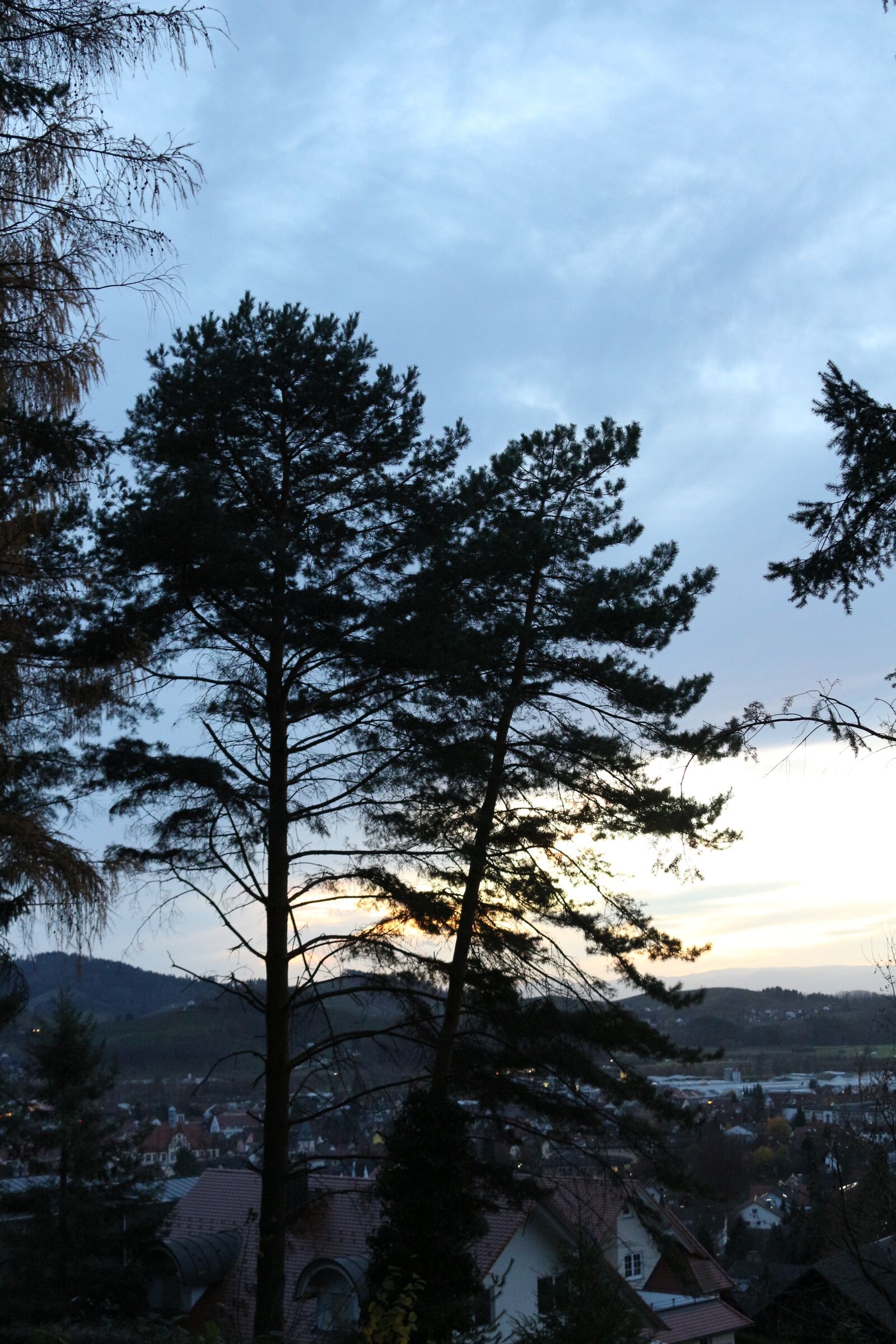 Canon EOS 650D (EOS Rebel T4i / EOS Kiss X6i) sample photo. Trees, autumn, black forest photography