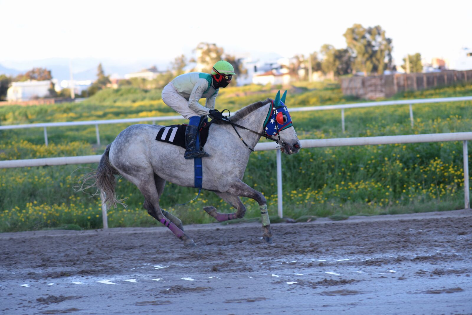 Nikon D750 sample photo