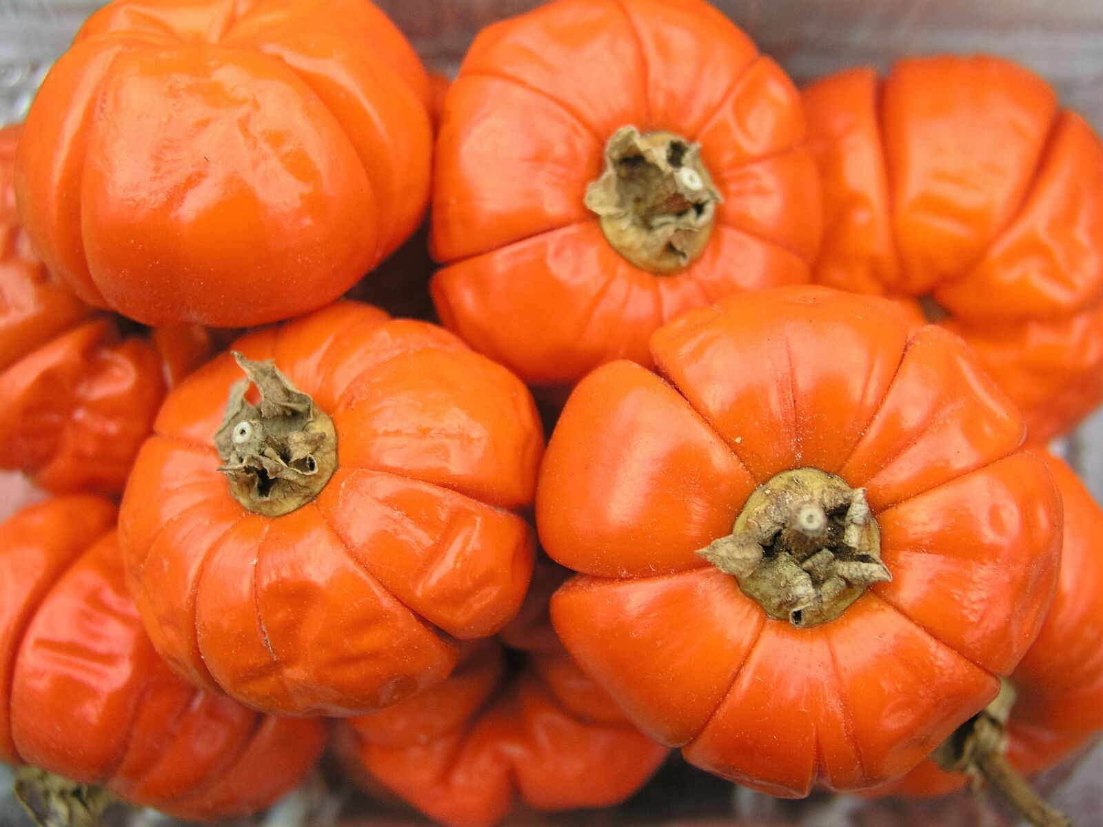 Olympus C5050Z sample photo. Pumpkin, squash, orange photography