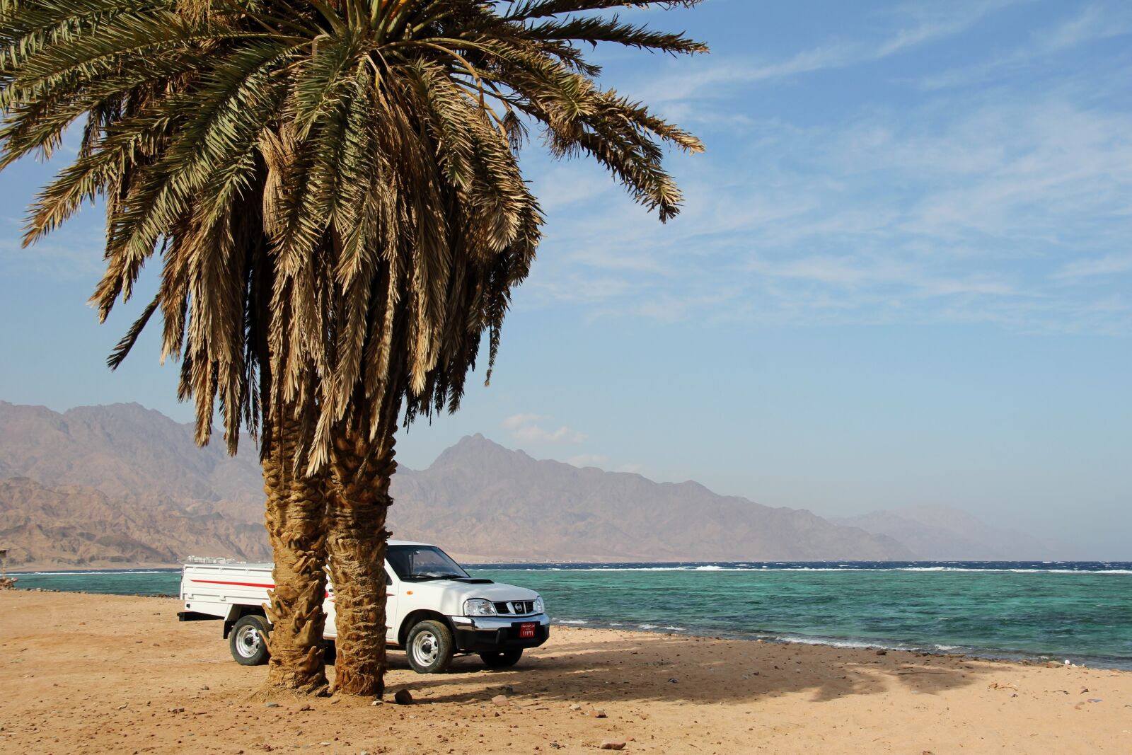 Canon EOS 60D sample photo. Beach, palm, auto photography