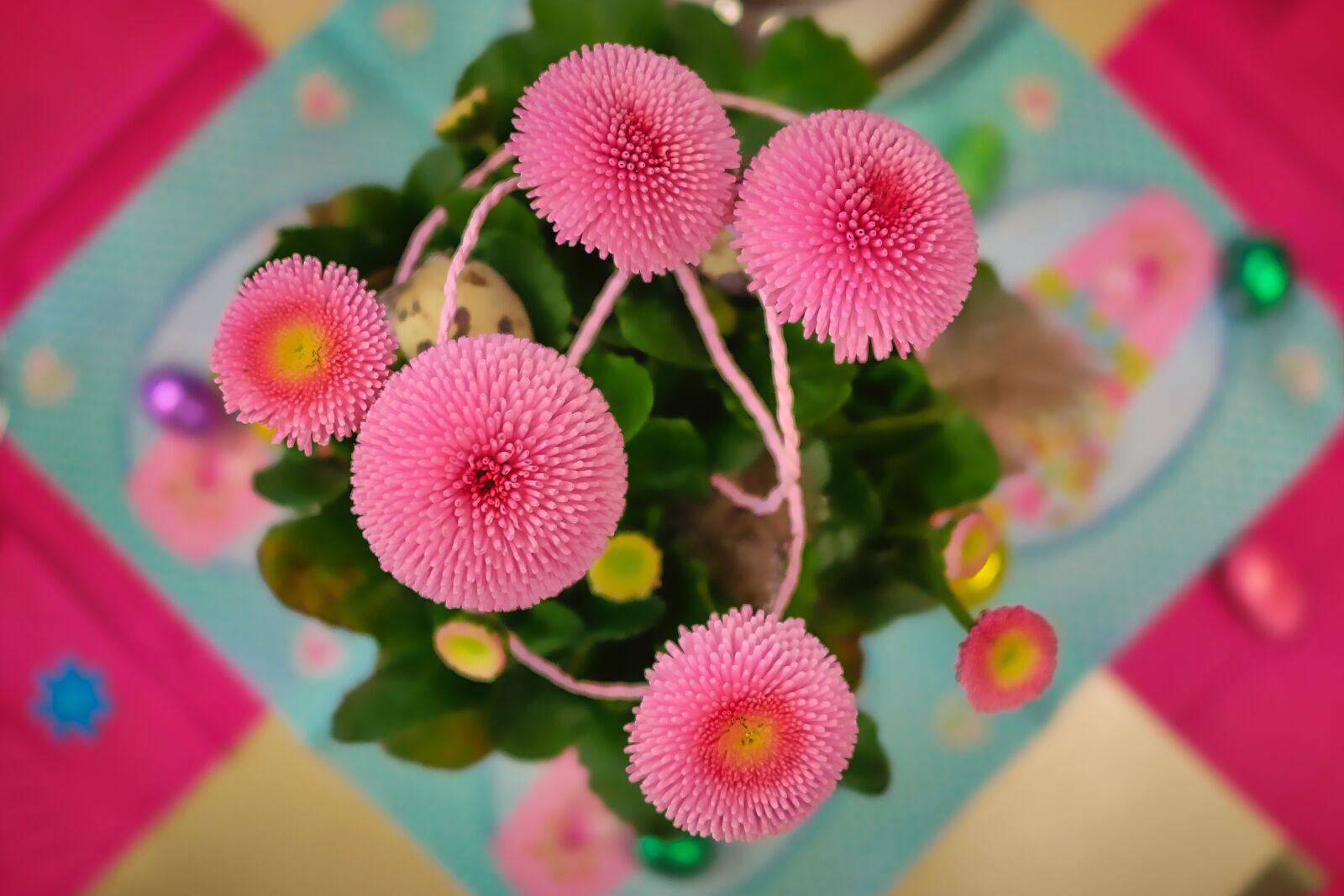 Panasonic Lumix DMC-GX8 sample photo. Nature, flower, cover photography