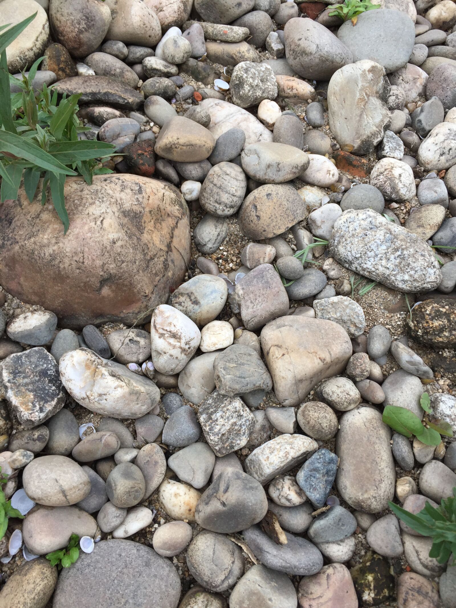 iPhone 6 back camera 4.15mm f/2.2 sample photo. Stones, river, solitude photography