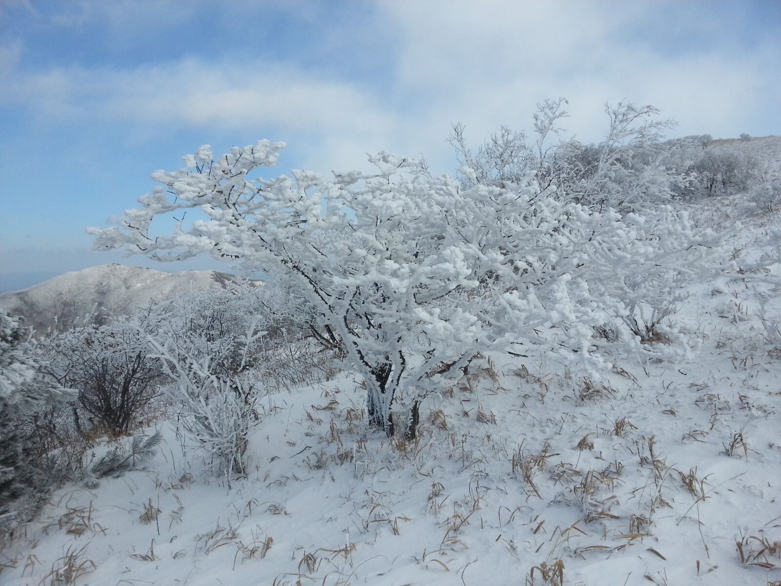 Samsung Galaxy S3 sample photo. The winter light production photography