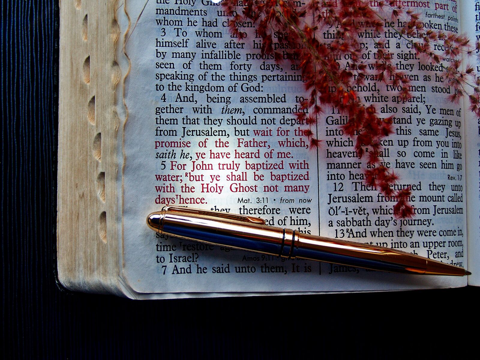 Olympus E-300 (EVOLT E-300) sample photo. Bible, verse, god photography