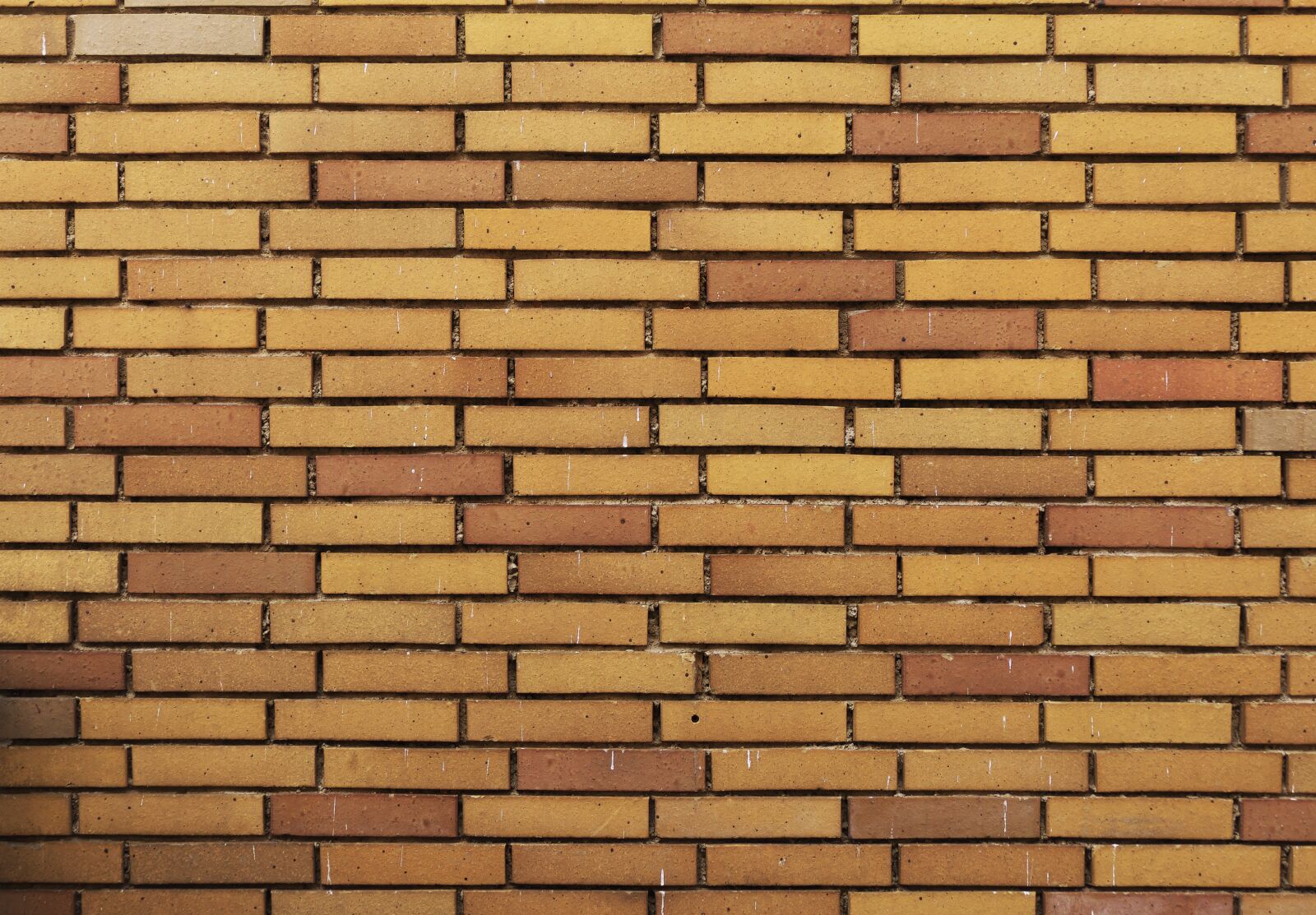 Panasonic Lumix DMC-FZ1000 sample photo. Facade, clinker, tile photography