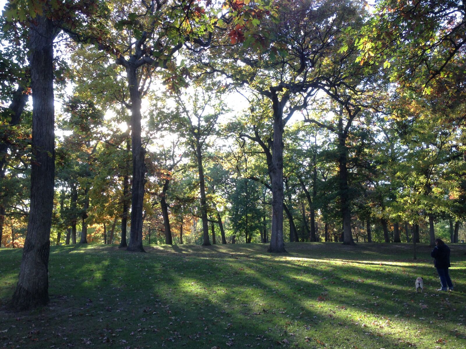iPhone 5 back camera 4.12mm f/2.4 sample photo. City, park, park, summer photography